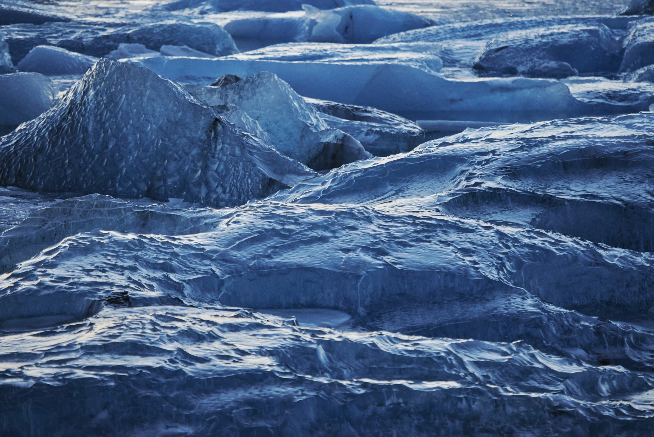 Close-up of blue icebergs floating in the ocean.