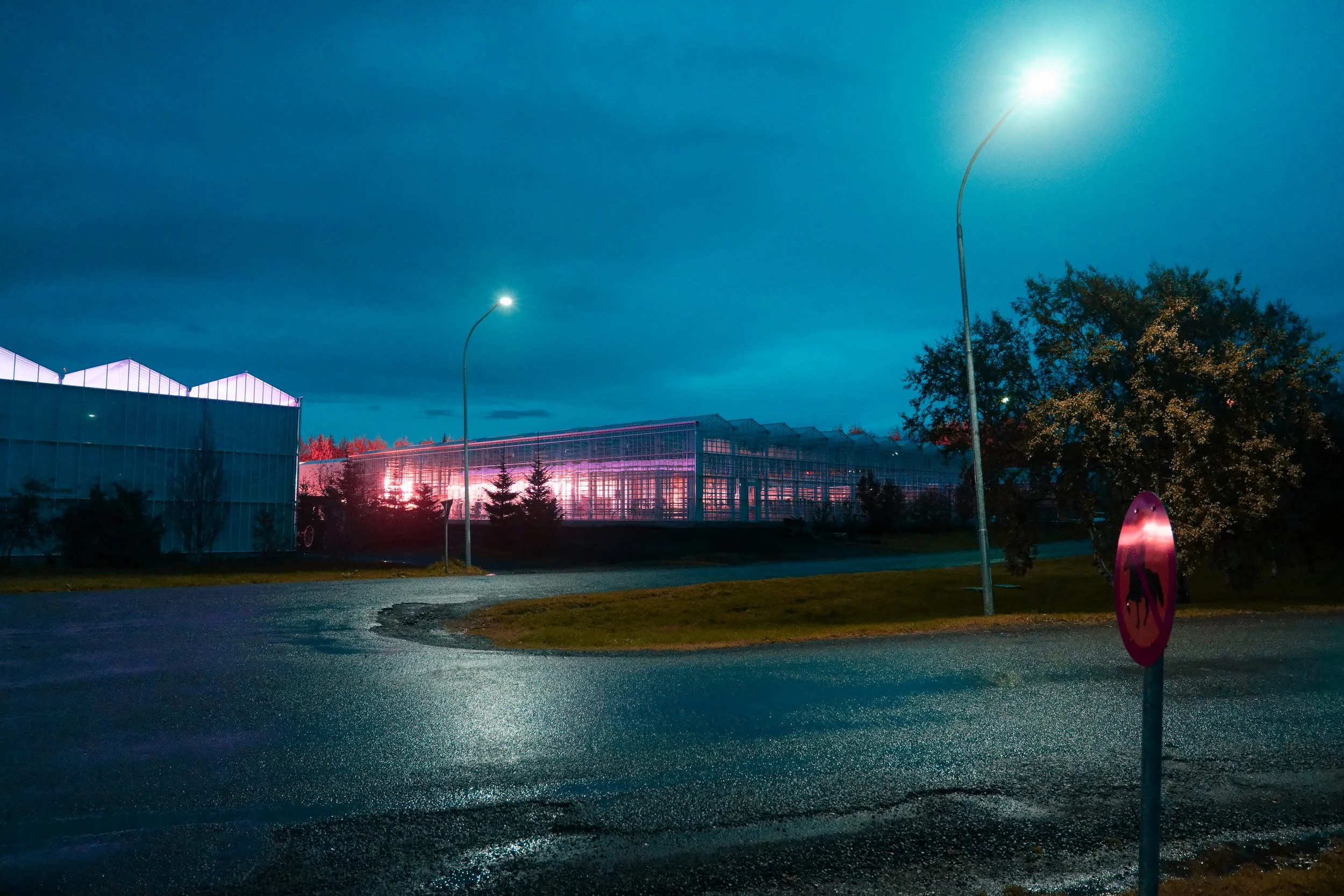 Nighttime scene of a parking area with streetlights, trees, and illuminated greenhouse structures with pink and purple lighting.