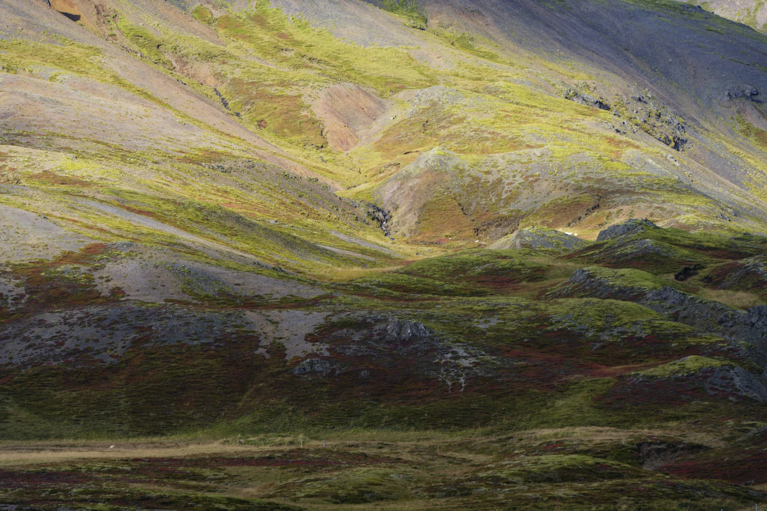 Colorful mountains with green moss and patches of purple and reddish vegetation, with steep slopes and rugged terrain.