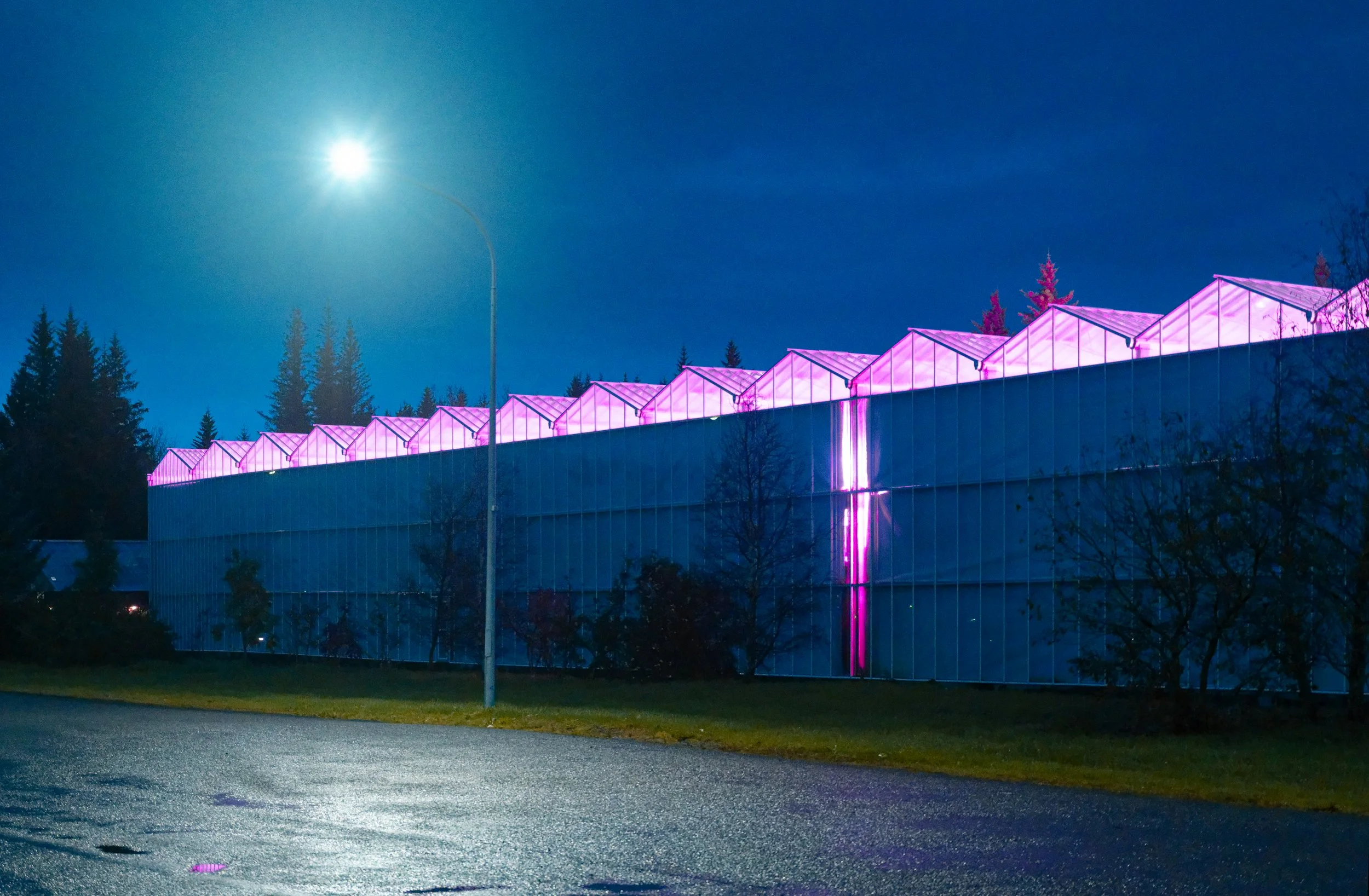 Night scene of a building with a series of greenhouse-like structures illuminated with pink and purple lights, surrounded by trees and a dark sky with a bright moon.