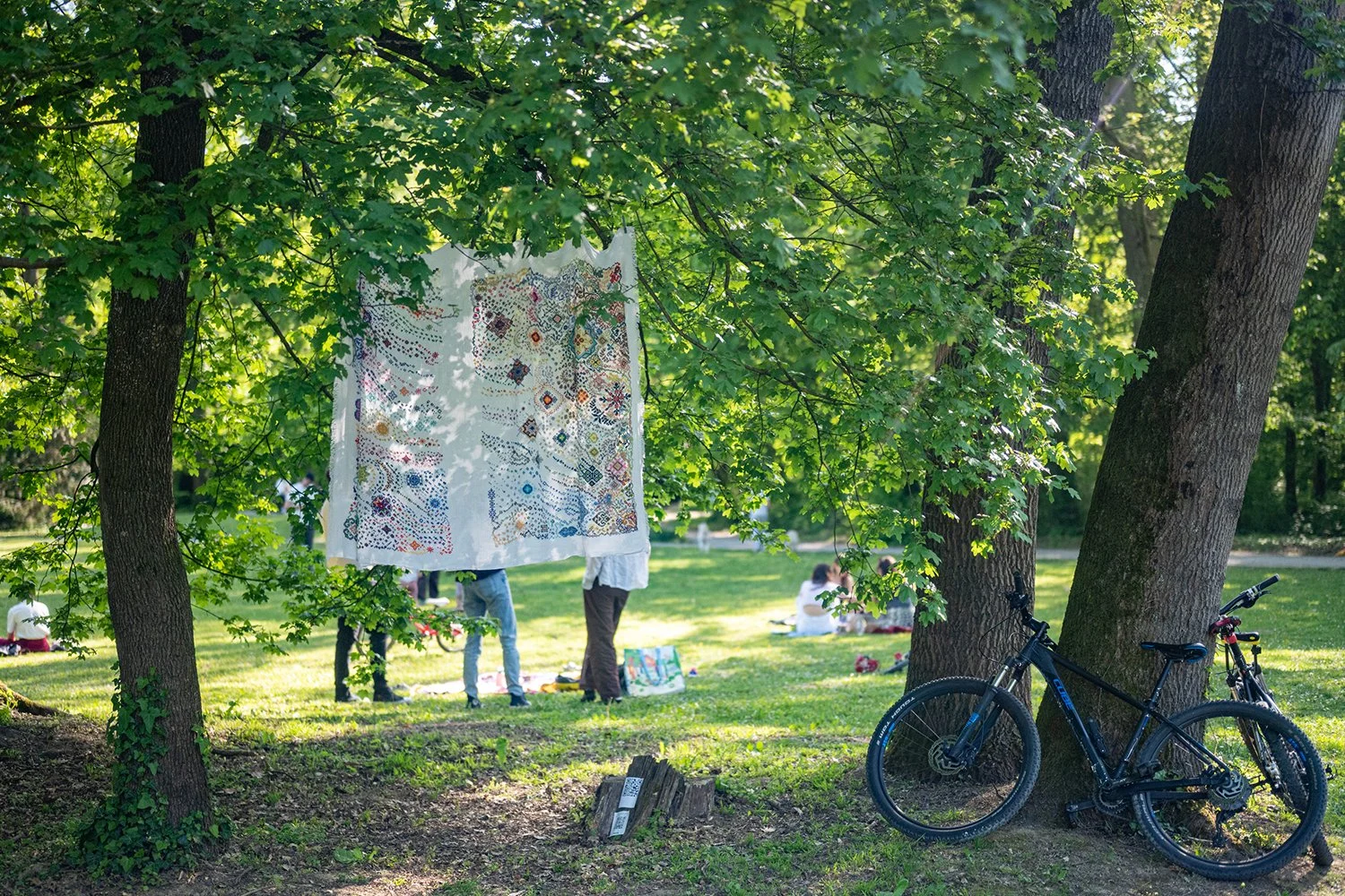 DSC_8629.jpg