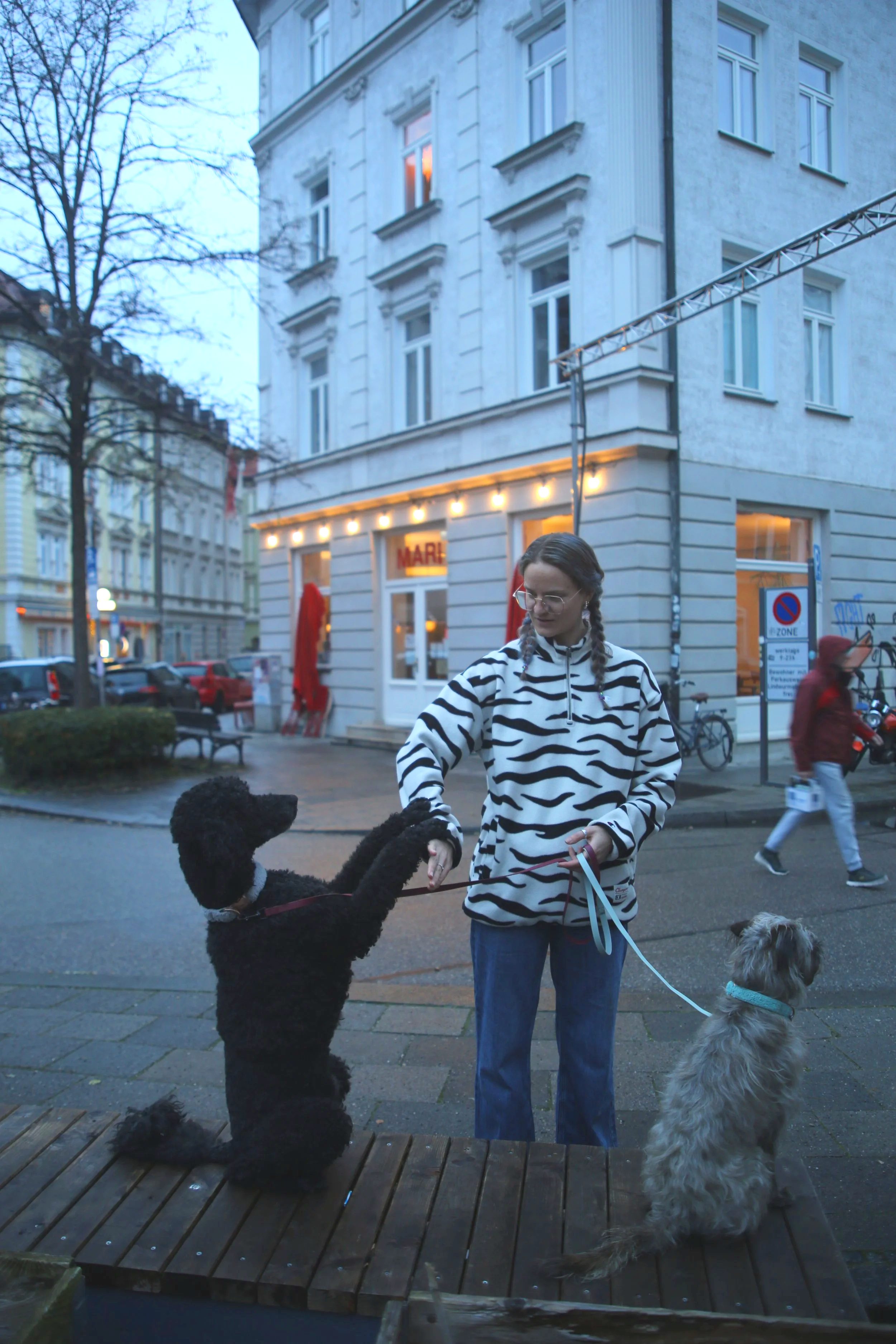 Hundetraining+M%C3%BCnchen+Spa%C3%9F+im+Alltag.png