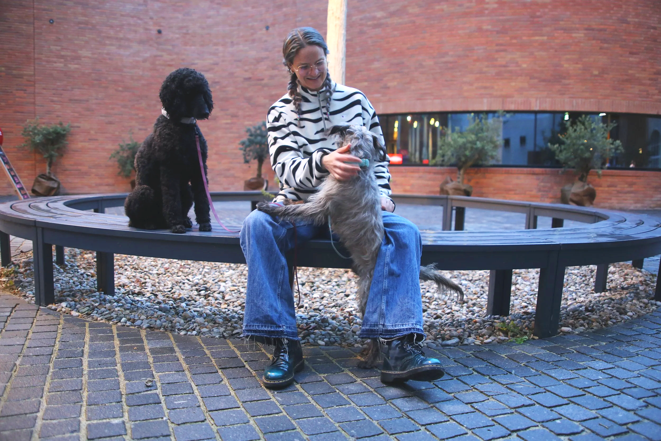 Innenstadt Hundetraining München