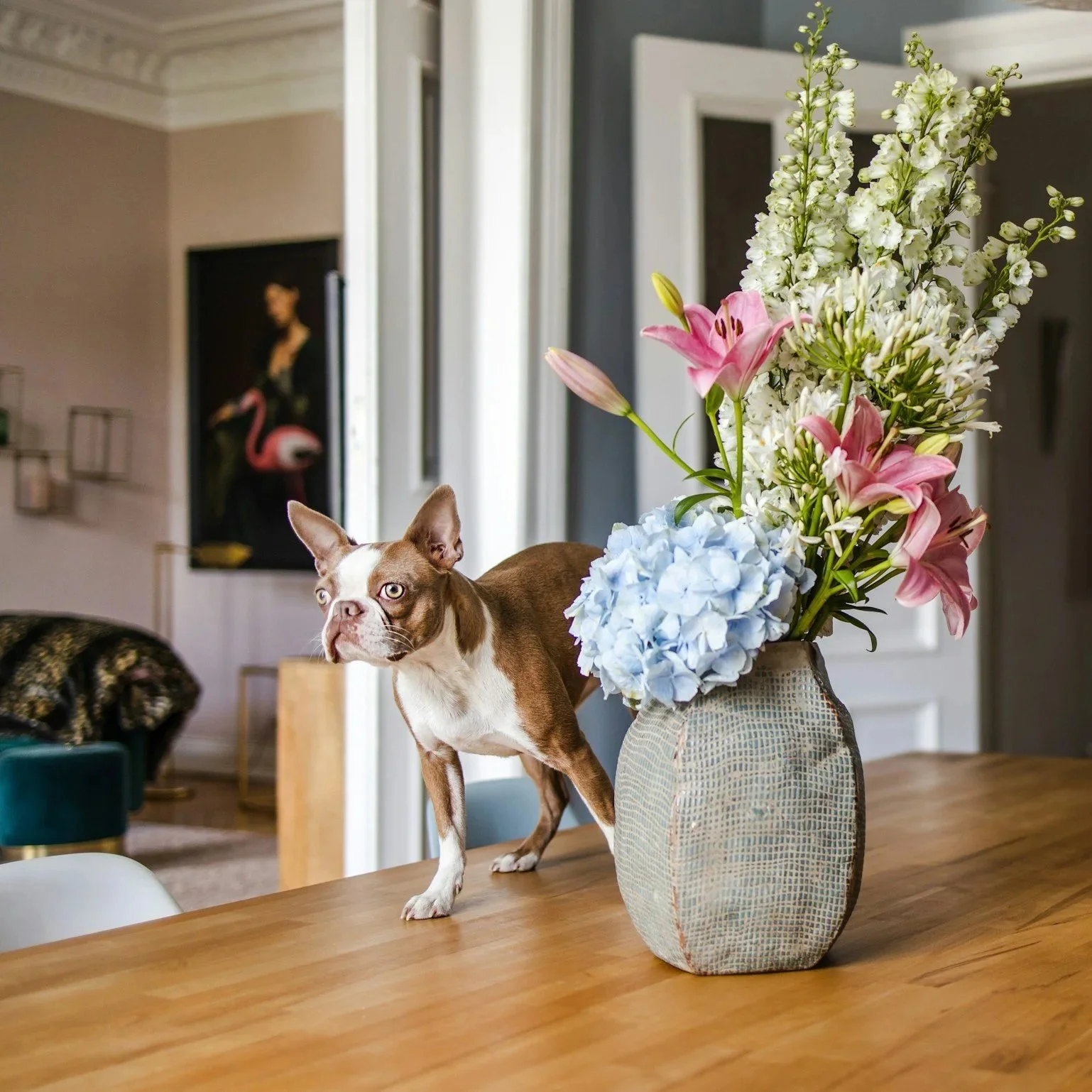 Beziehungstraining / Hundekommunikation