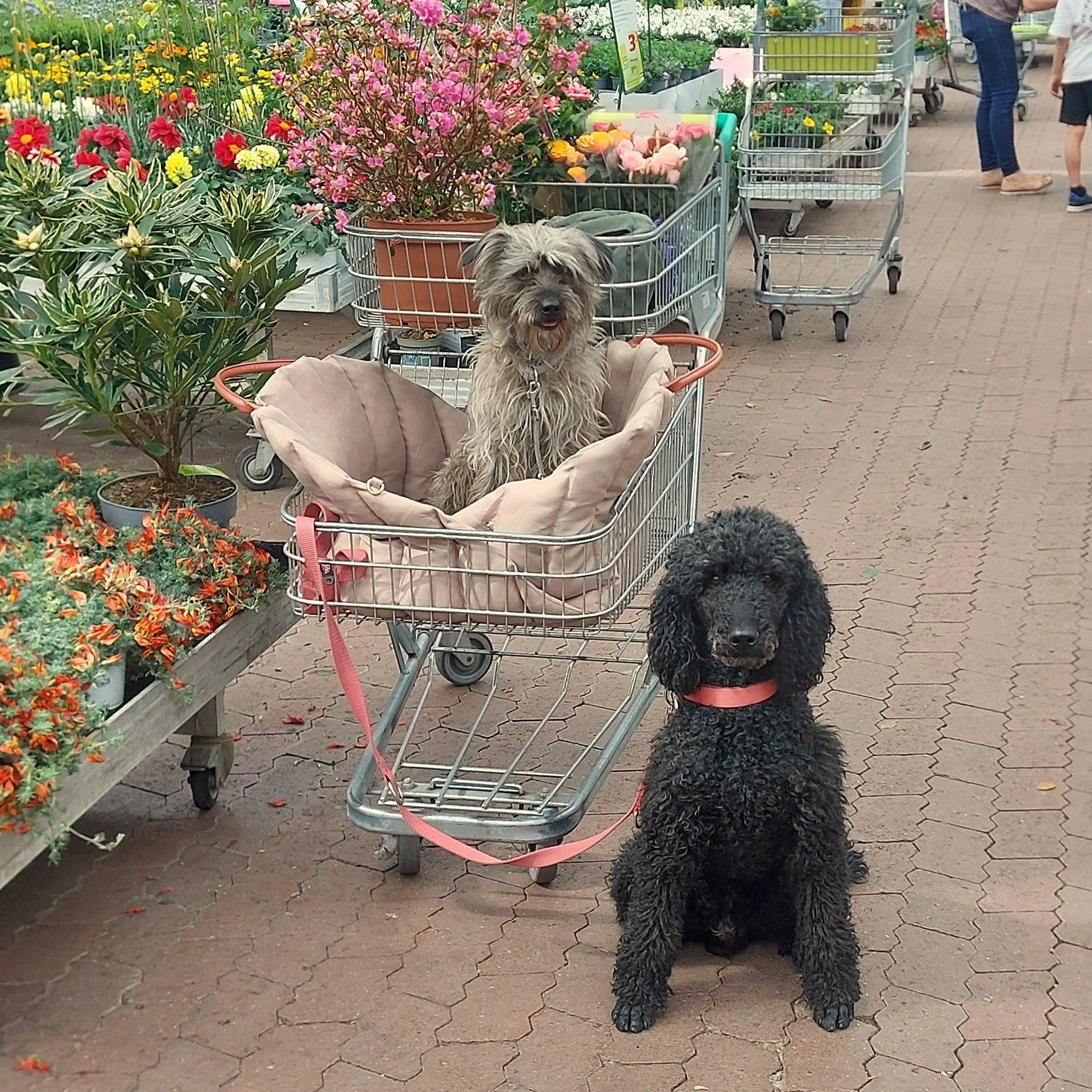 Alltag Training Geschäfft