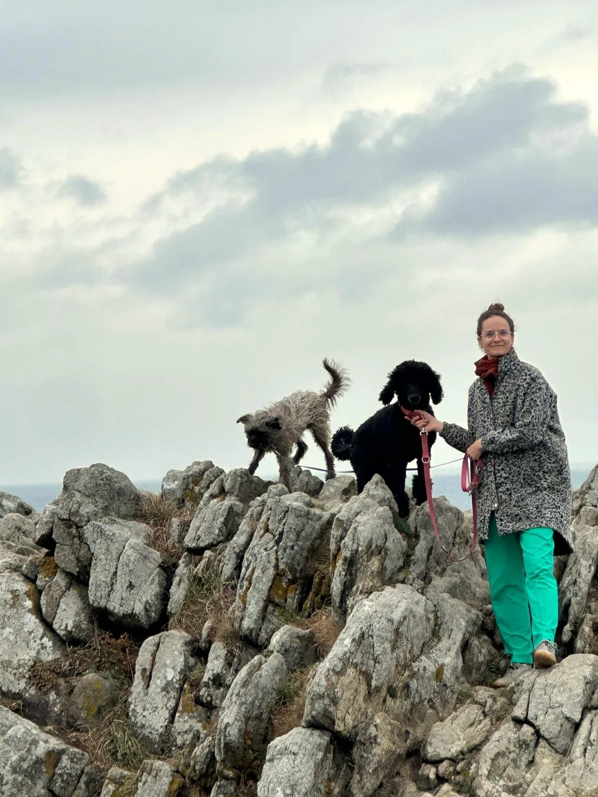 Hundeschule Tierschutz Herdenschutzhund.jpeg