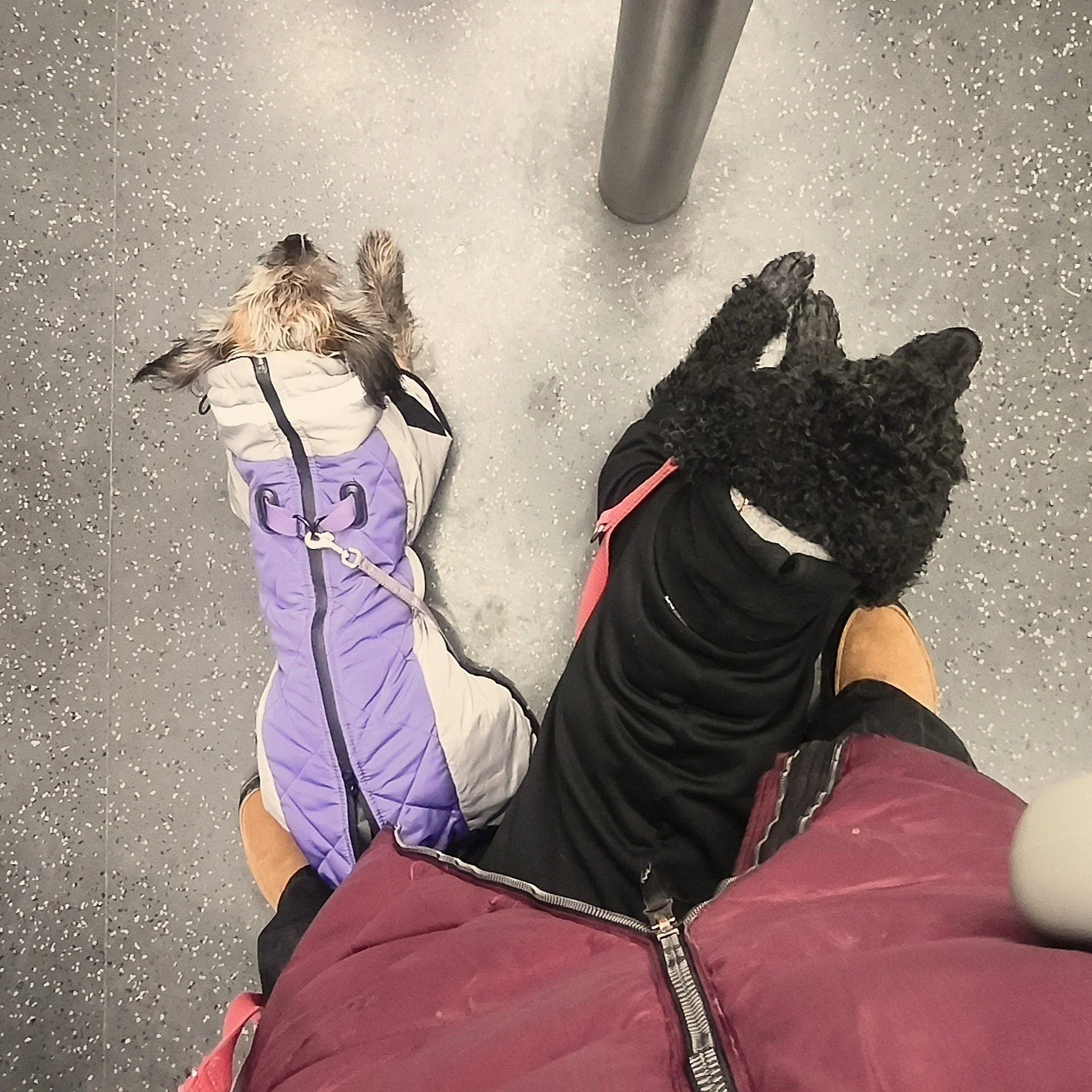 Stadttraining öffentliche Verkehrsmittel U-Bahn