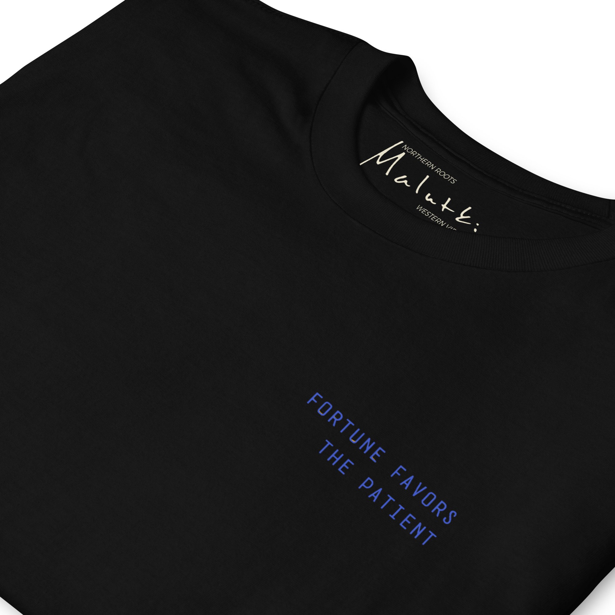 unisex-basic-softstyle-t-shirt-black-zoomed-in-6a70ca9b42c53.jpg