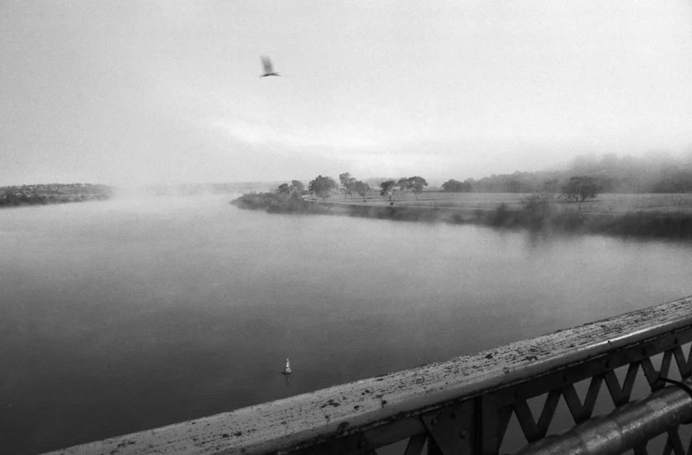 1 Kathryn Hannaford_.jpg