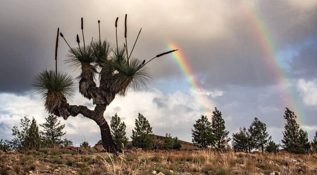 Southern Inspirations-6.jpg