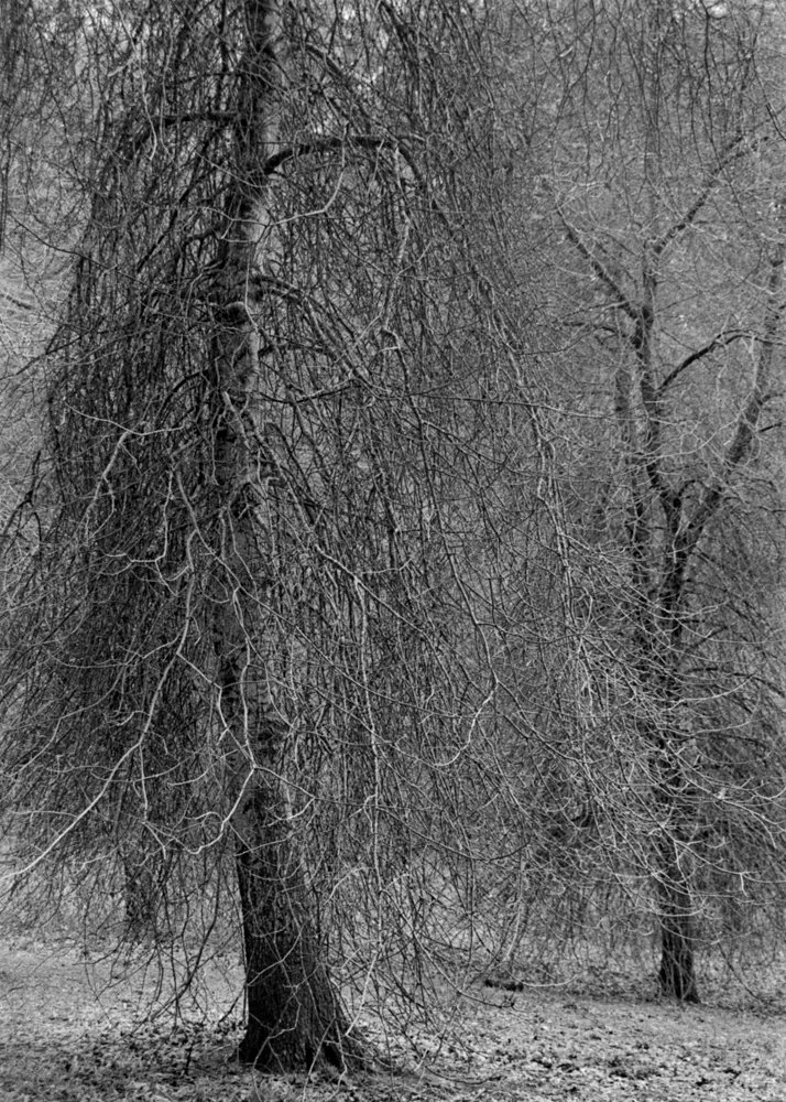 6 Kathryn Hannaford_.jpg