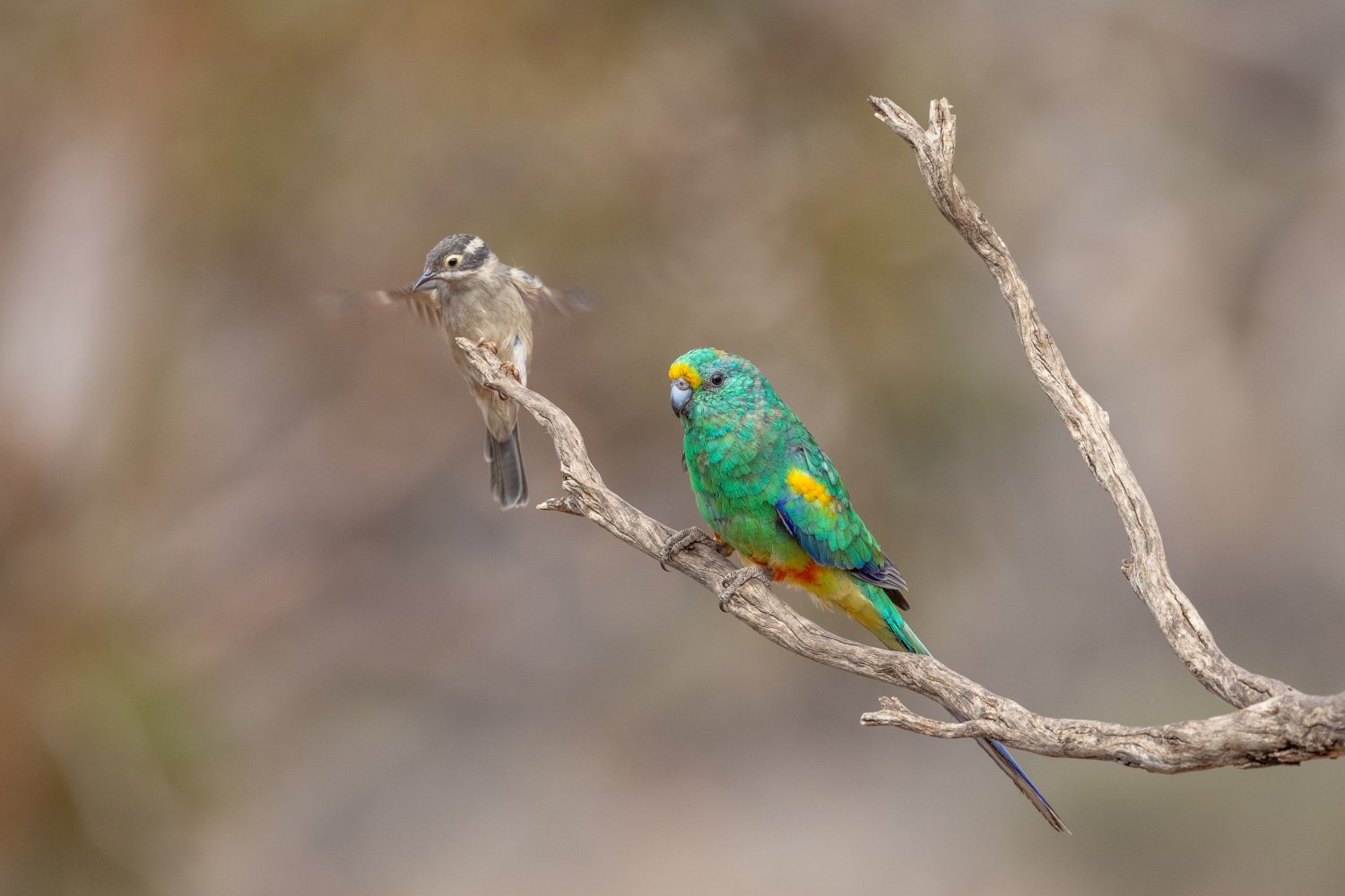 Share the space please.jpg