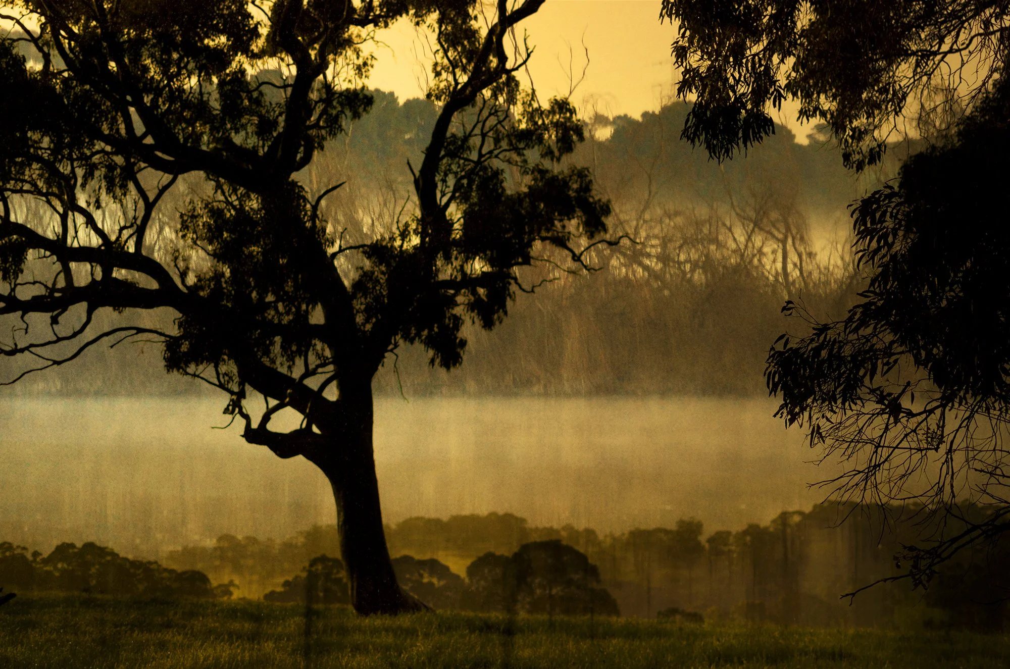 R avoca dell piggot range blend multiply exhibition copy.jpg