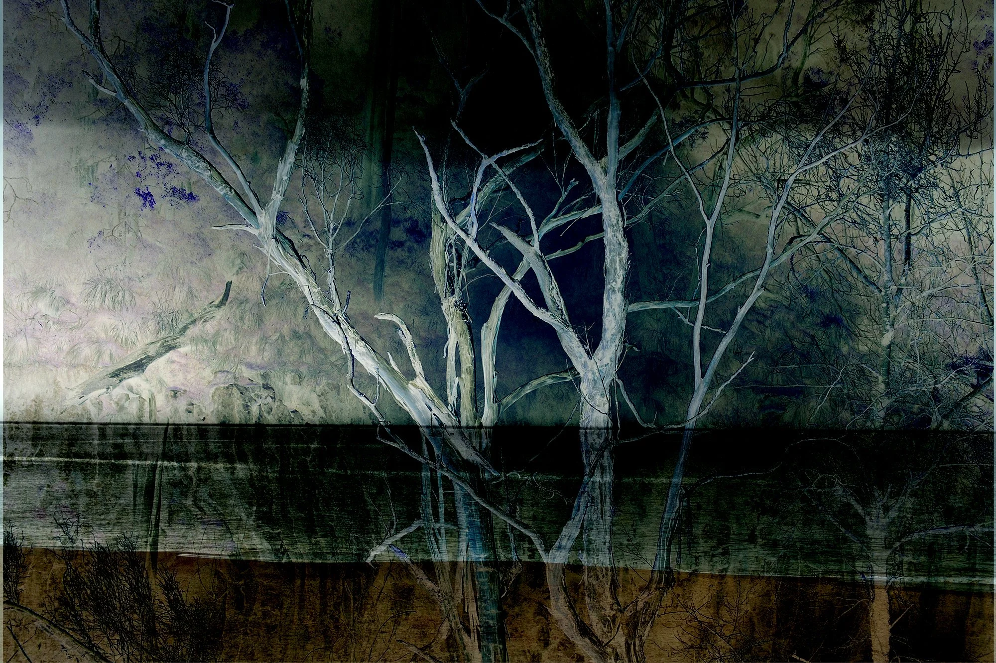 osullivan beach birds792 exhibition copy.jpg