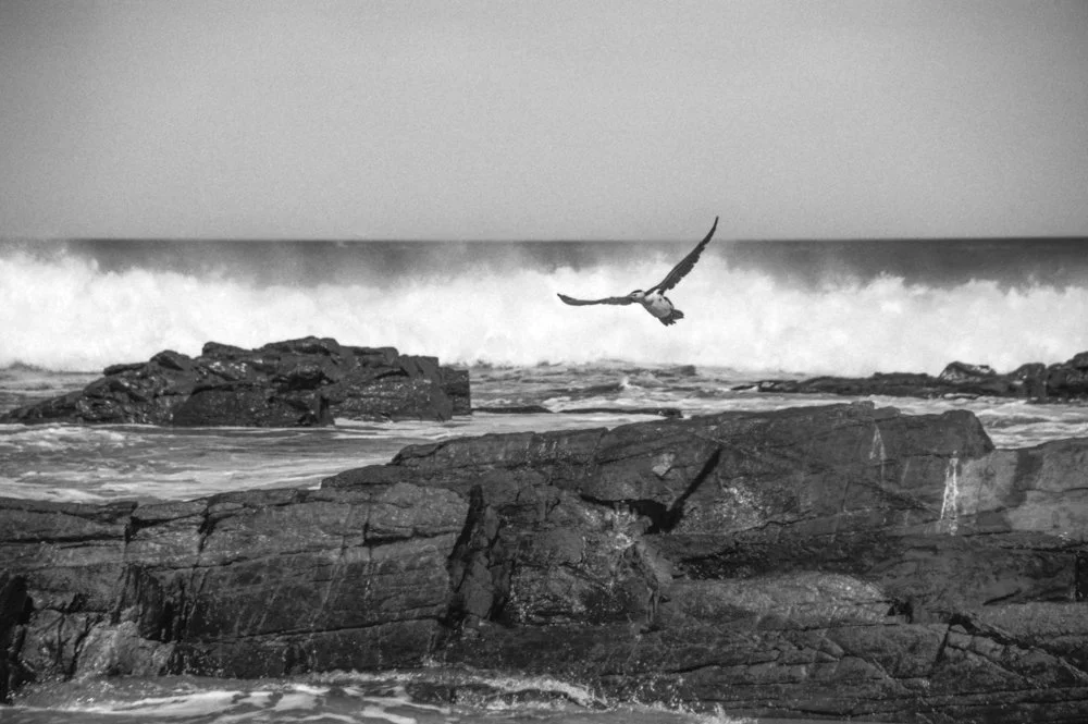 3 Kathryn Hannaford_.jpg