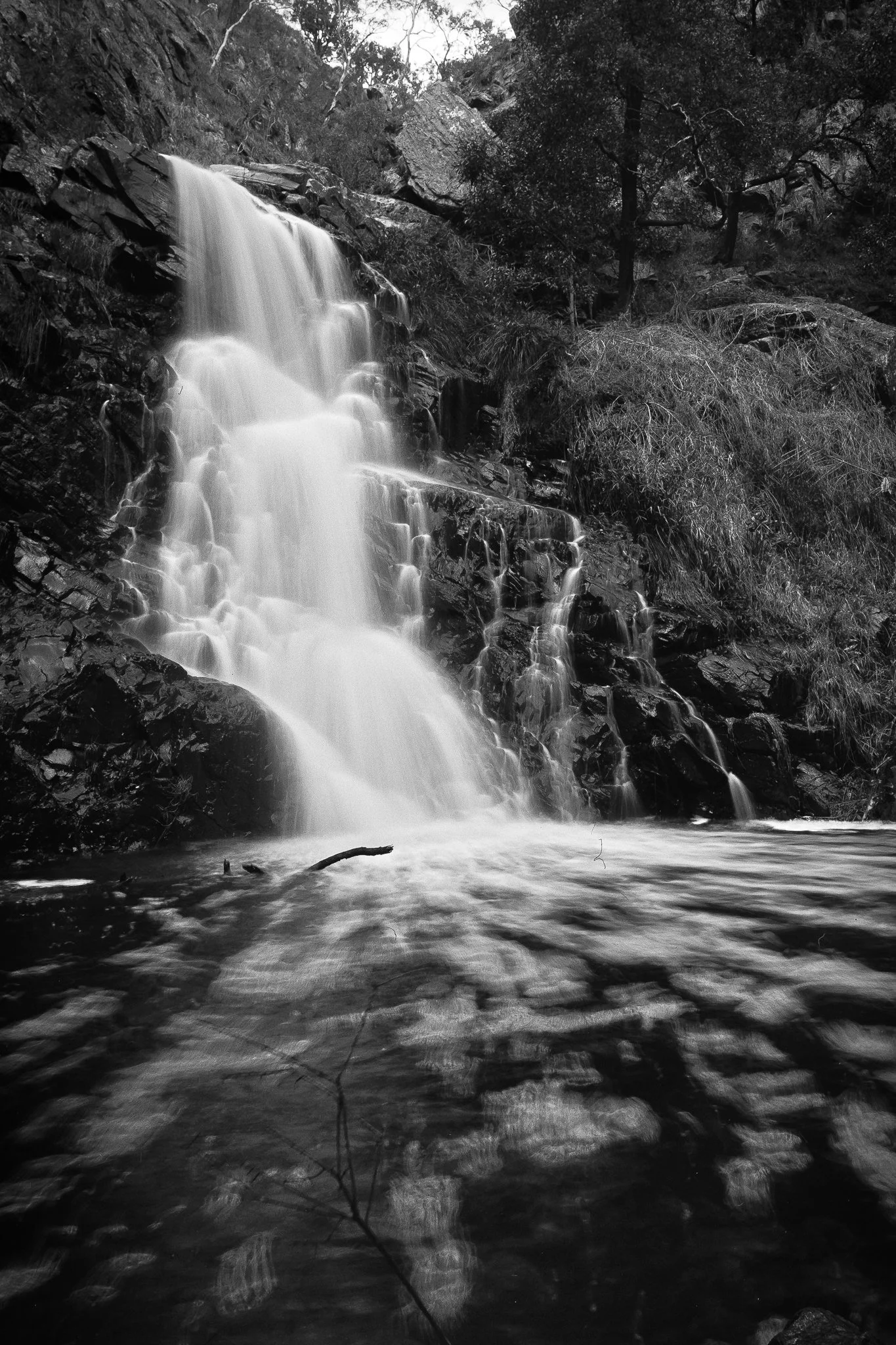 Laurence Gibbs Photography (3 of 5).jpg