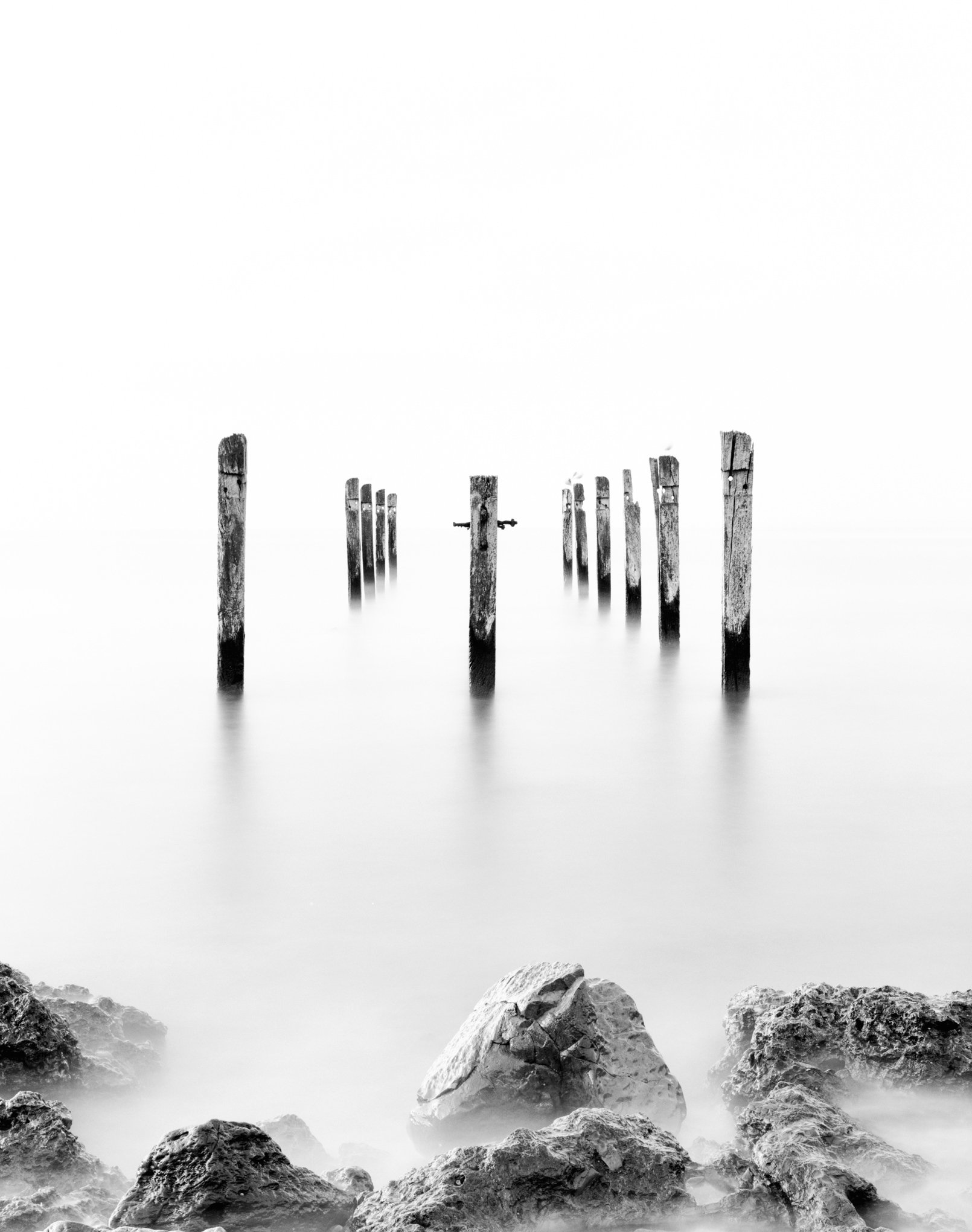 Myponga Beach Delta 100 4x5 - Soul Seep Studio By Laurence Gibbs  (1 of 1).jpg