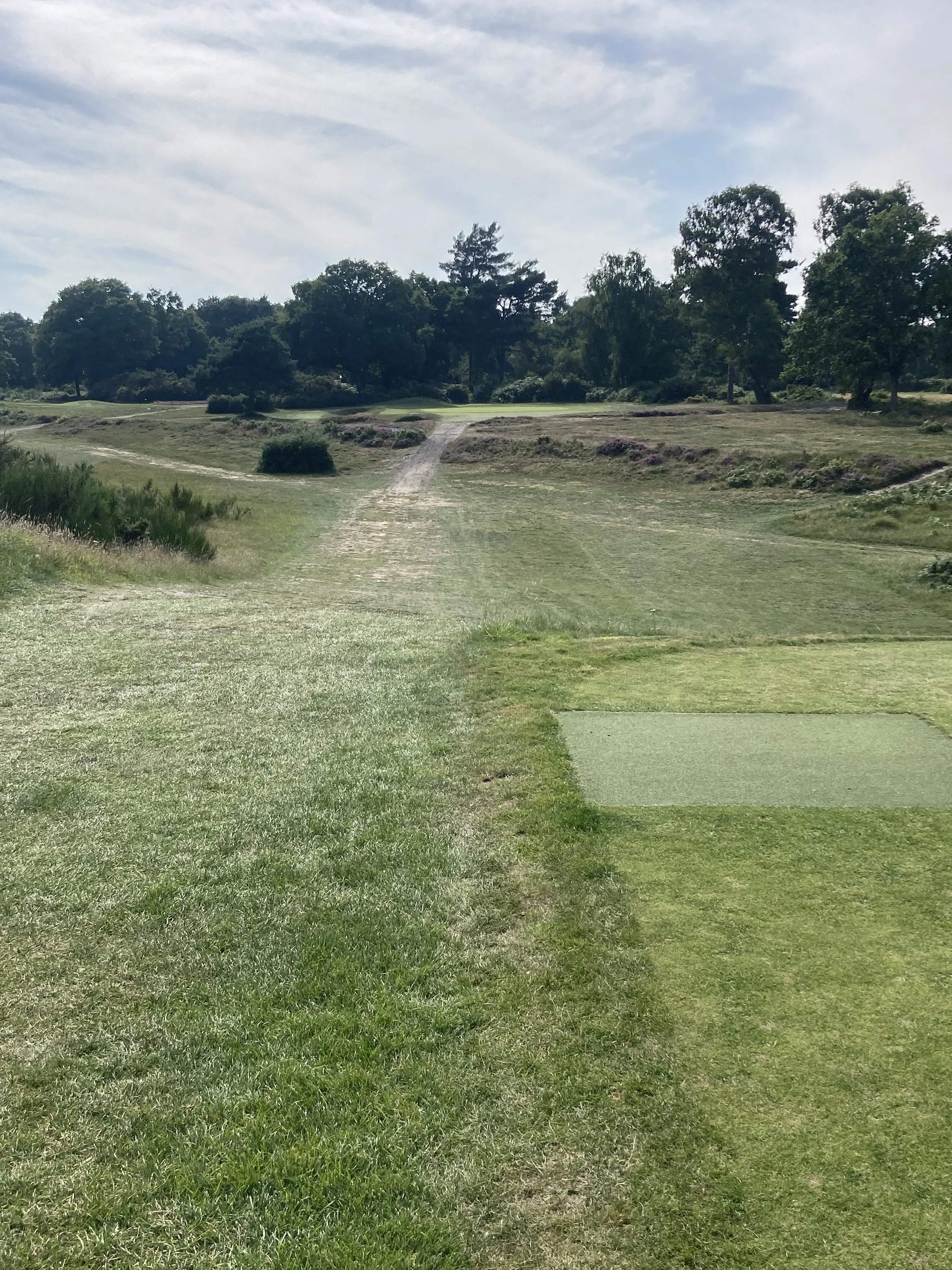 View of the par 3 8th Hole on the Forest course at Woodbridge Golf Club in Suffolk