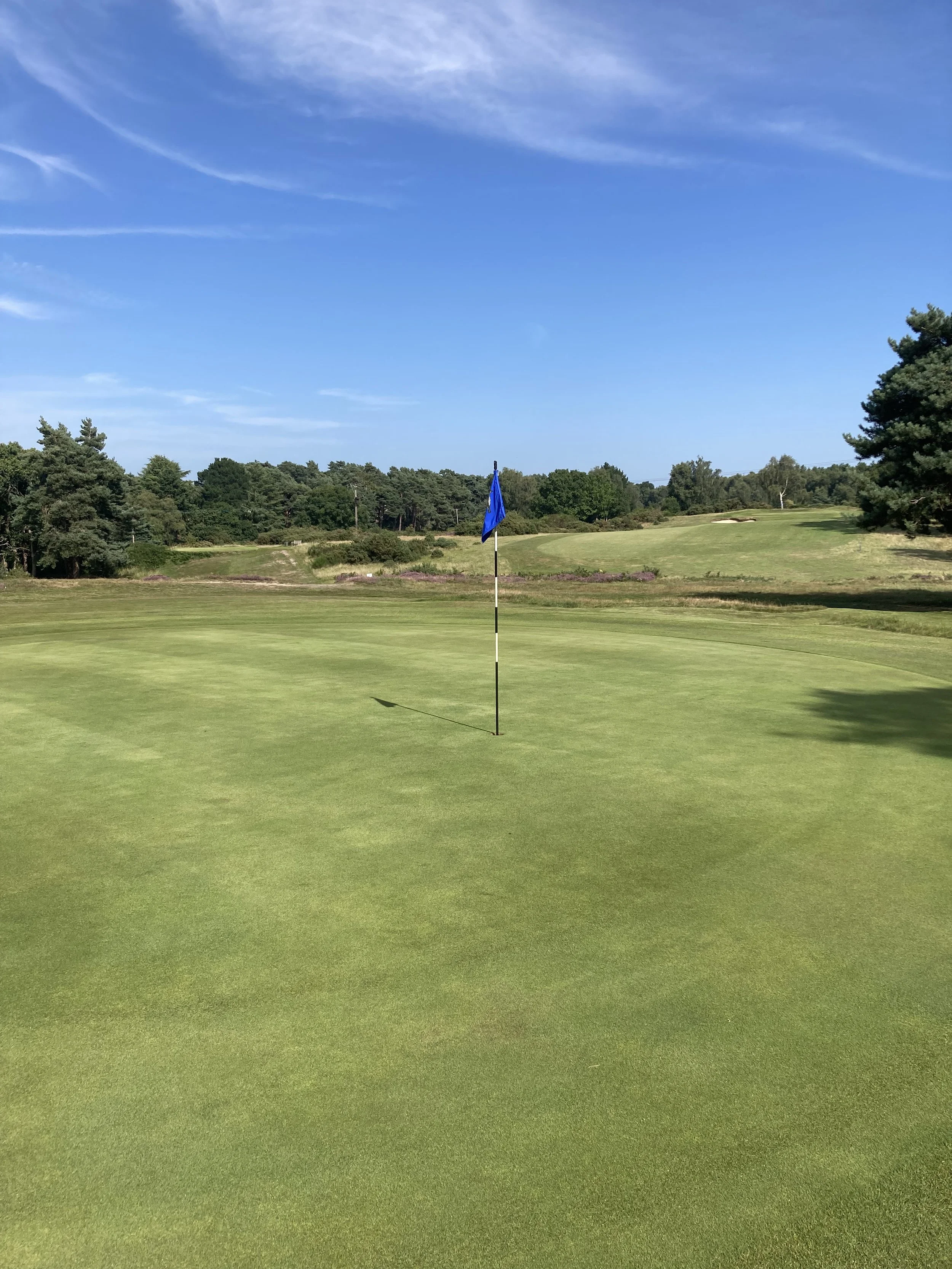 View across the Forest course at Woodbridge Golf Club on a sunny summer afternoon.
