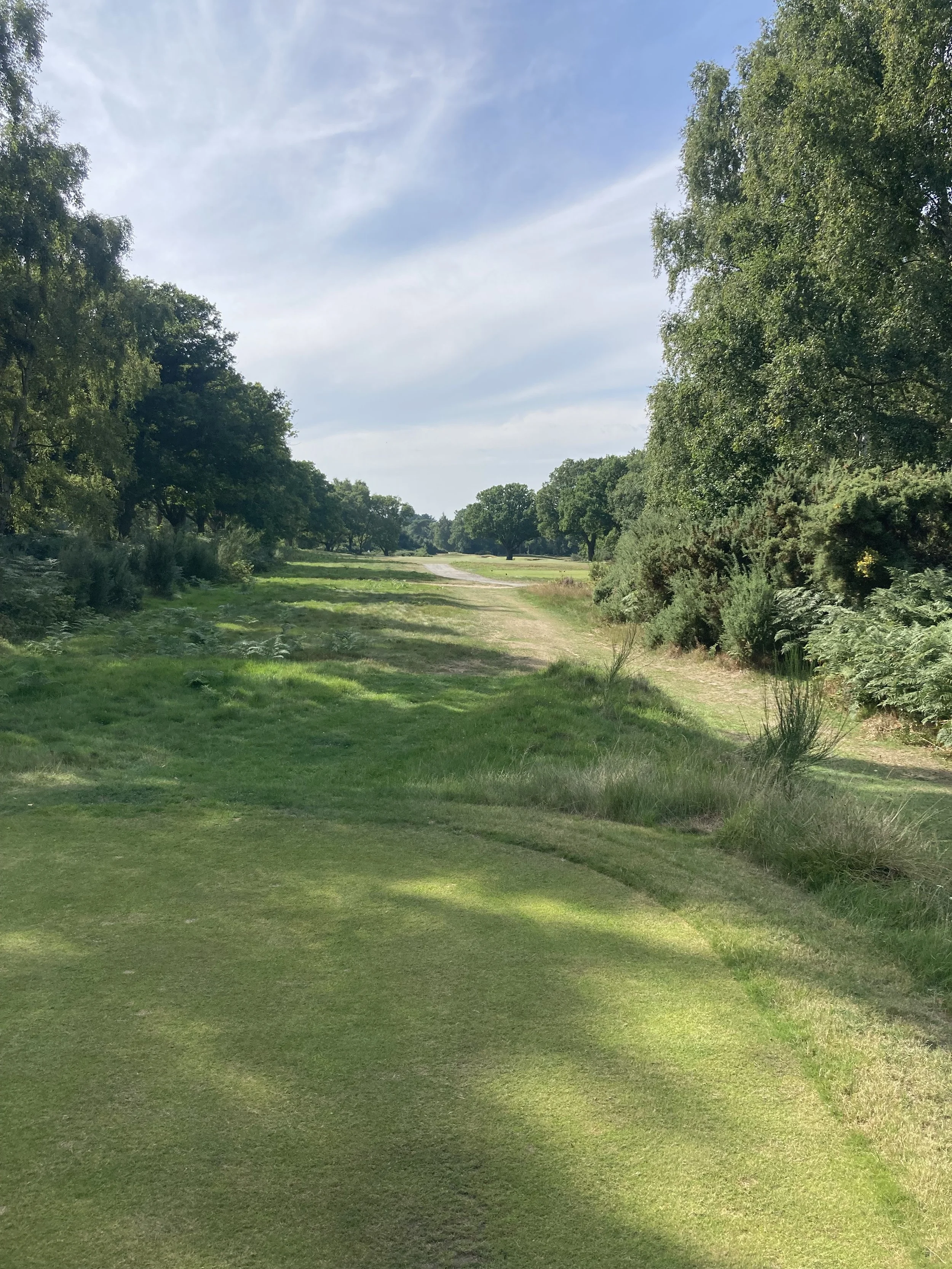 View of the 9th Hole on the Forest course at Woodbridge Golf Club in Suffolk