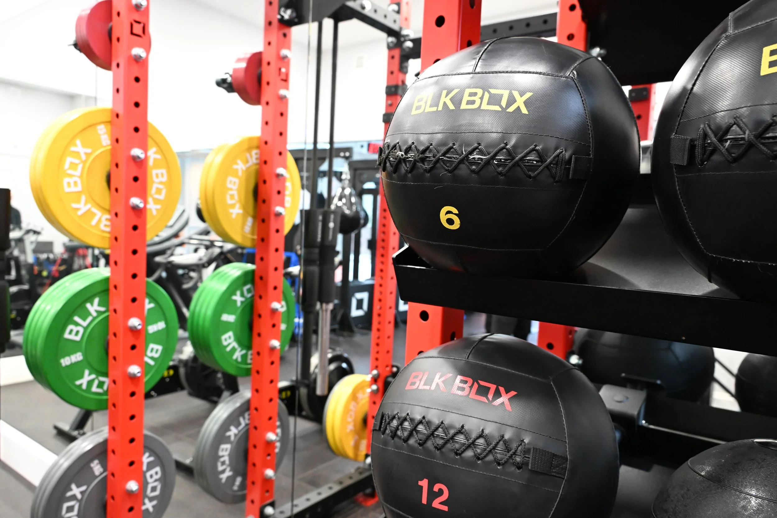 Weightlifting gym with colorful weight plates and medicine balls on racks, including black medicine balls.