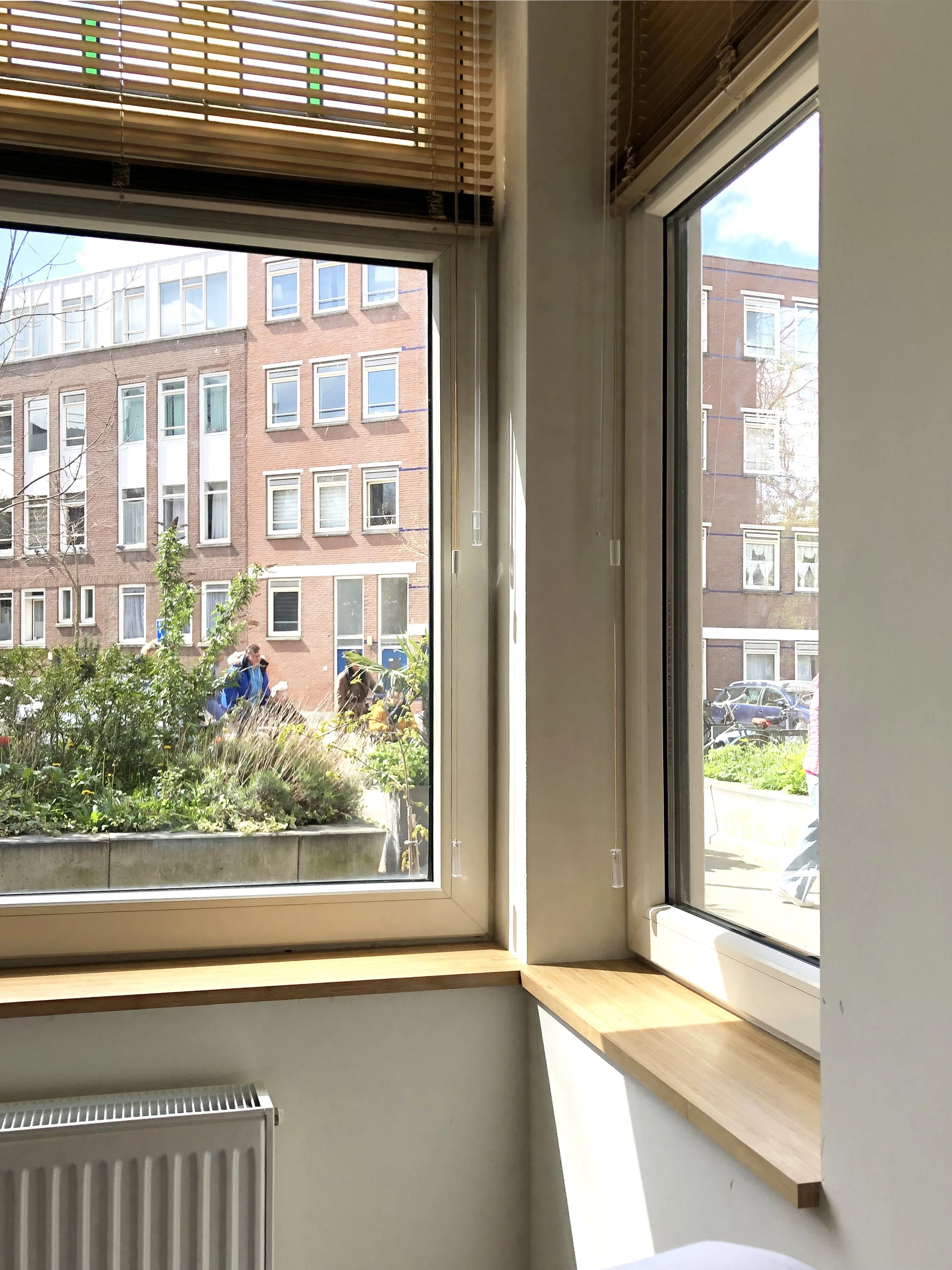 Uitzicht op straat met bamboe vensterbanken in Rotterdam