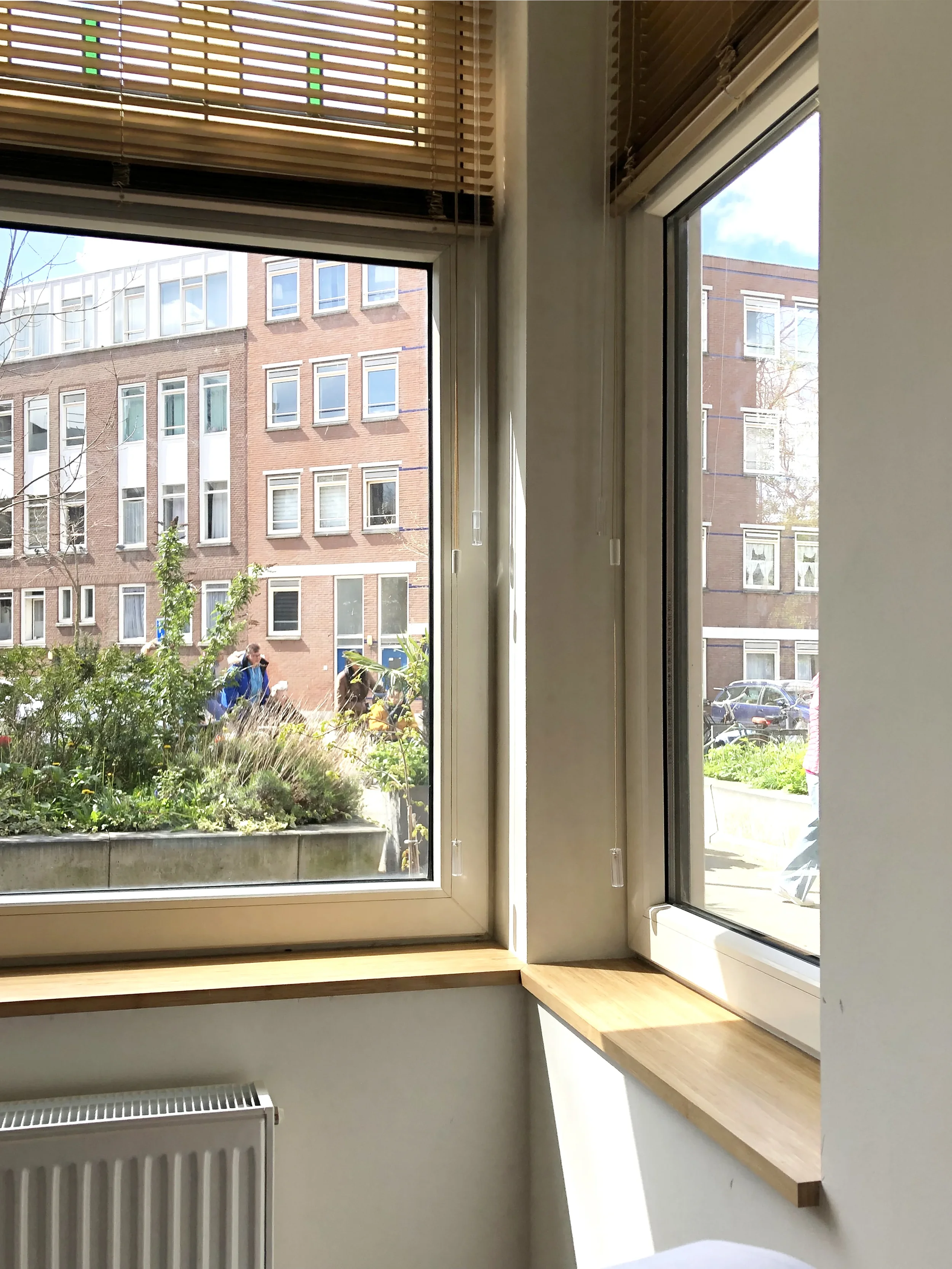 Uitzicht op straat met bamboe vensterbanken in Rotterdam.