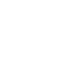 Electric Ireland