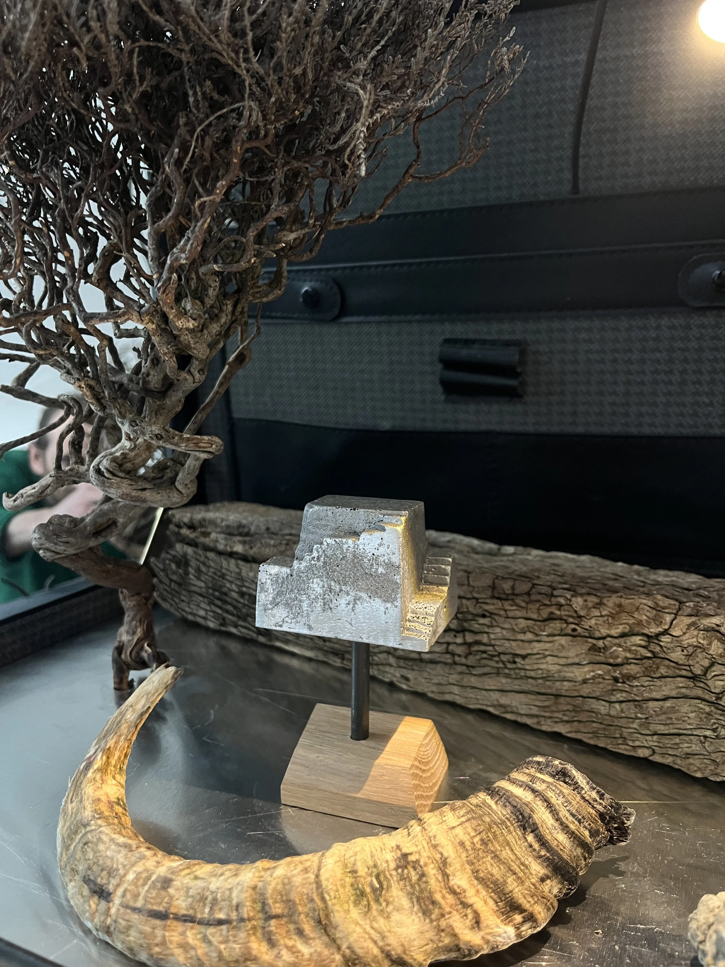 james kelly trepanation station.JPG