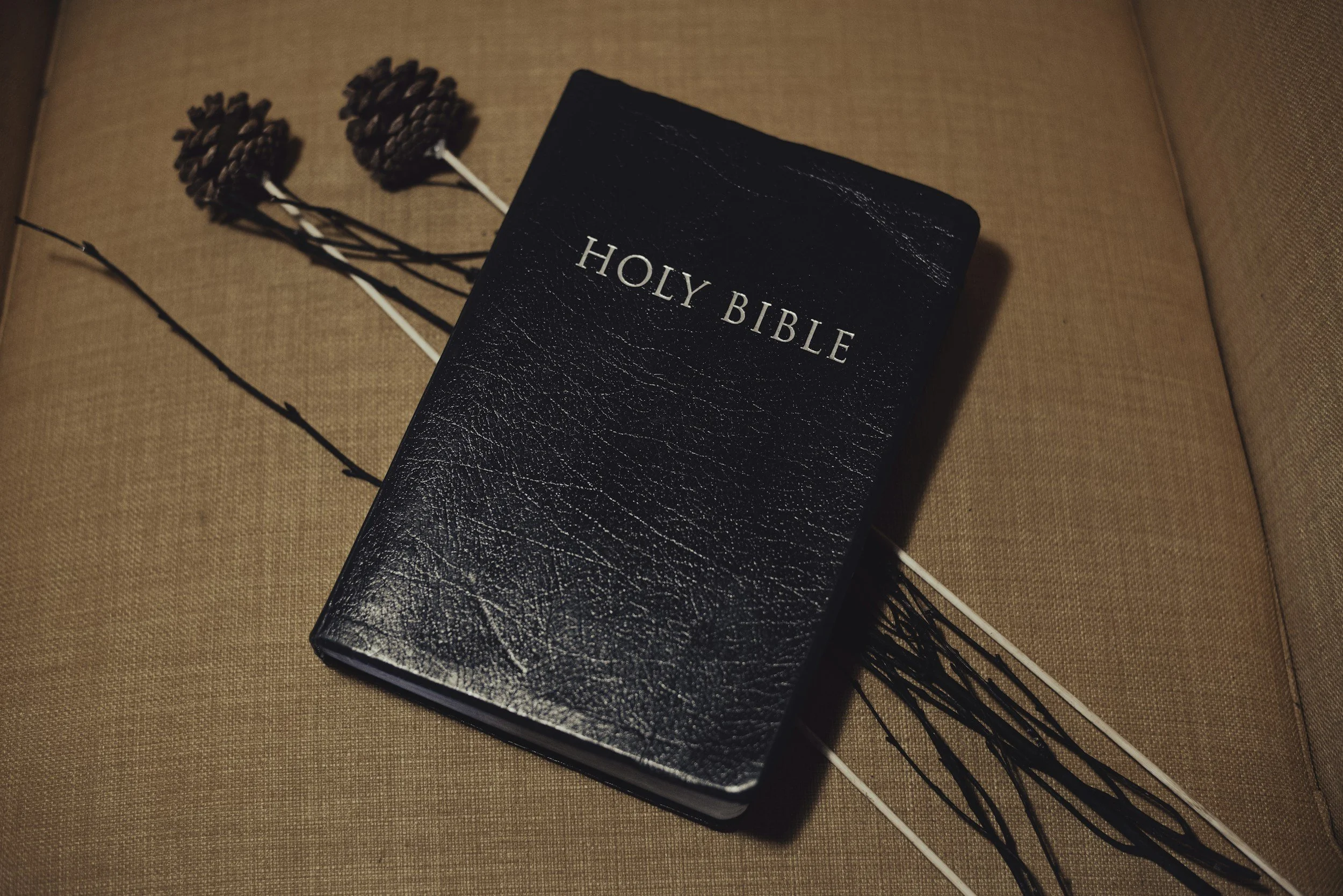 A black leather-bound Holy Bible resting on a tan fabric surface with three dried flowers and two black plastic sticks underneath.