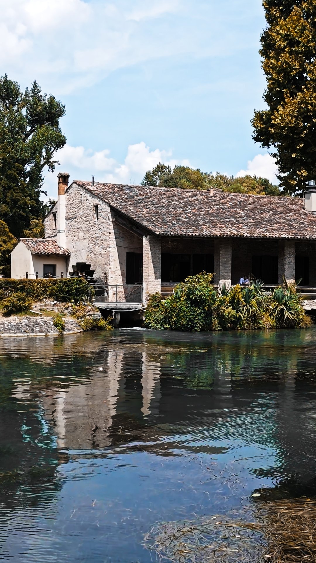 Still 2025-12-16 101322_1.1.1.jpg