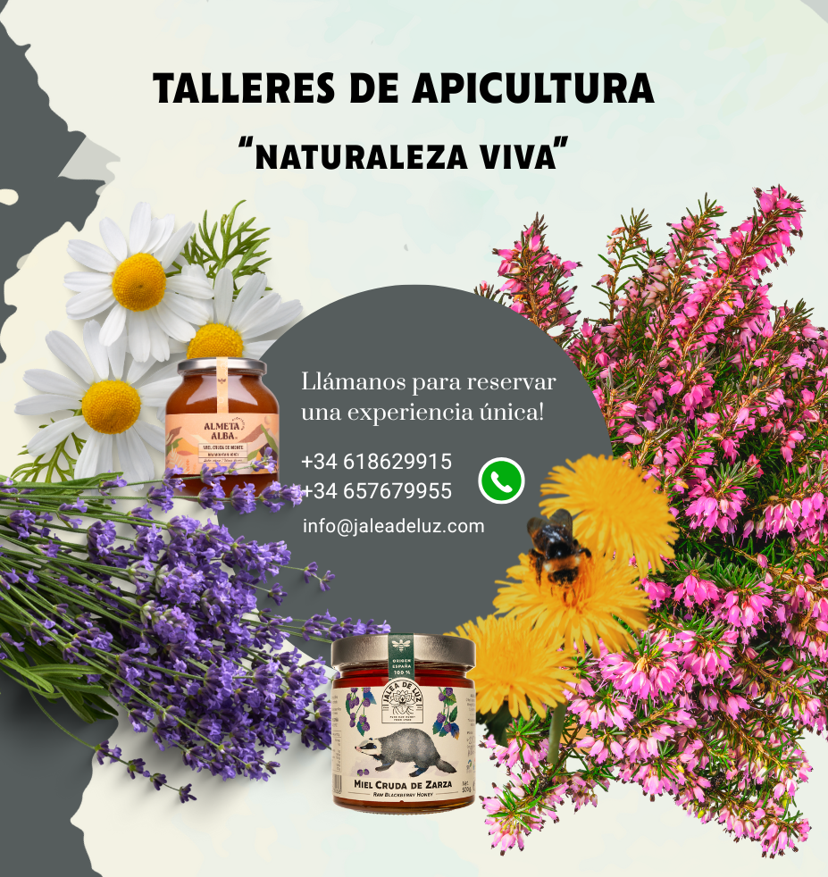 Talleres de Apicultura