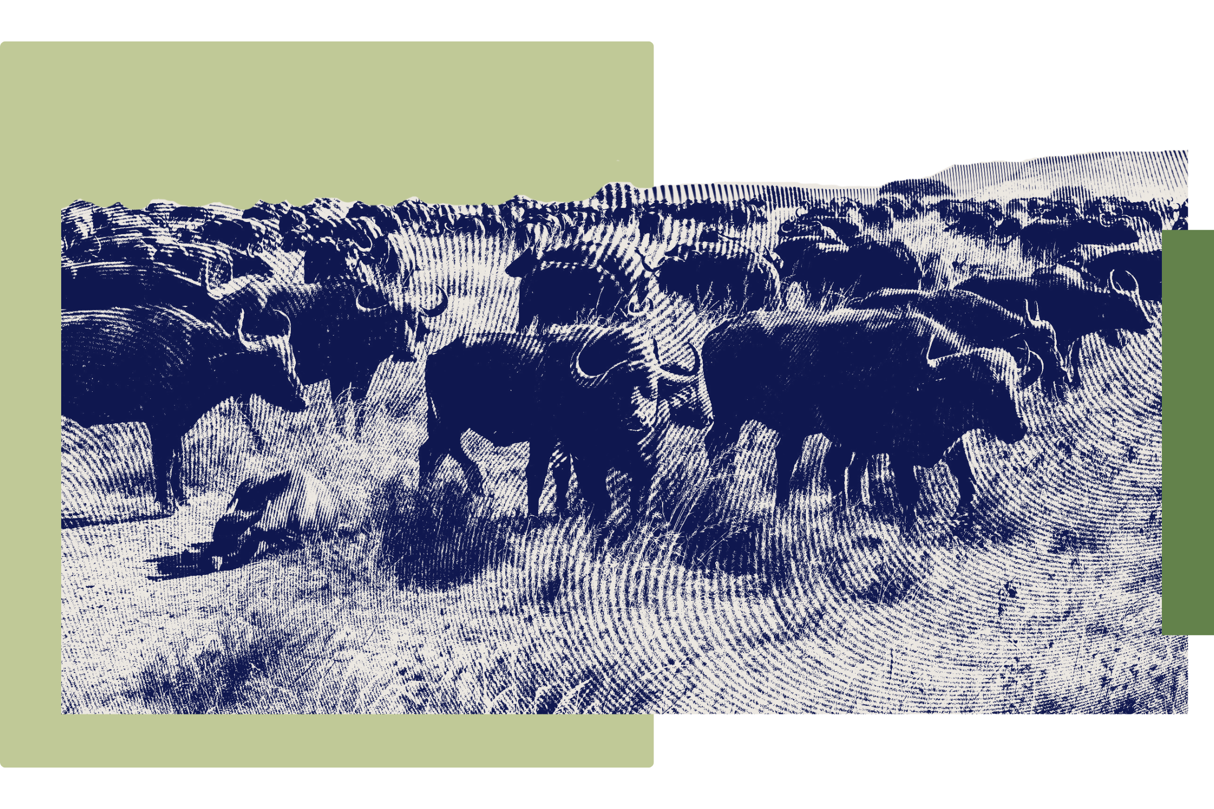 Illustration of a herd of buffalo grazing in a field with some green and black abstract background elements.