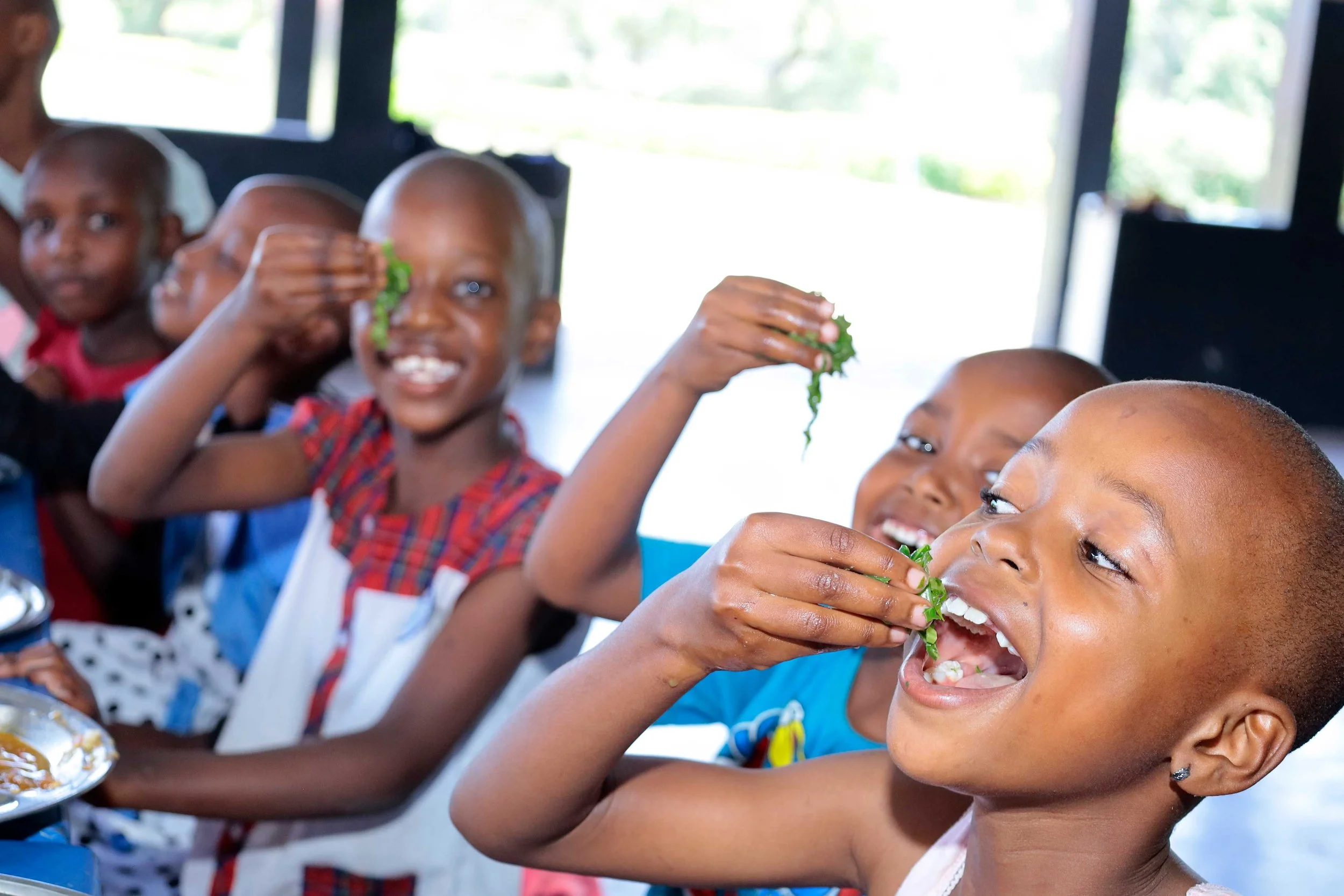 Young children enjoying a meal together, eating leafy greens, indoors with large windows in the background.