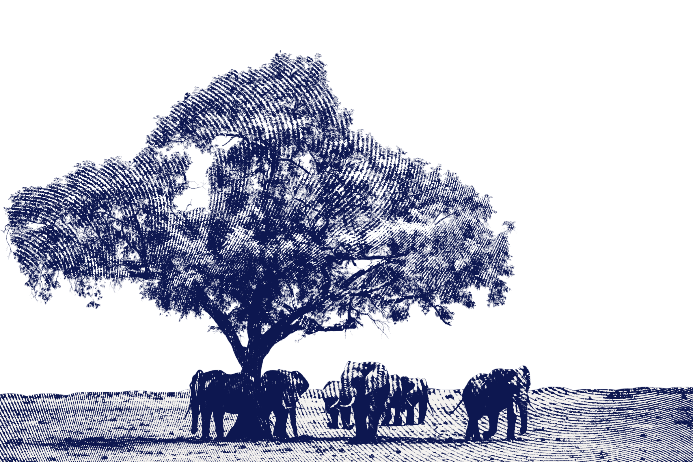Silhouette illustration of a large tree with multiple elephants in the grassland.