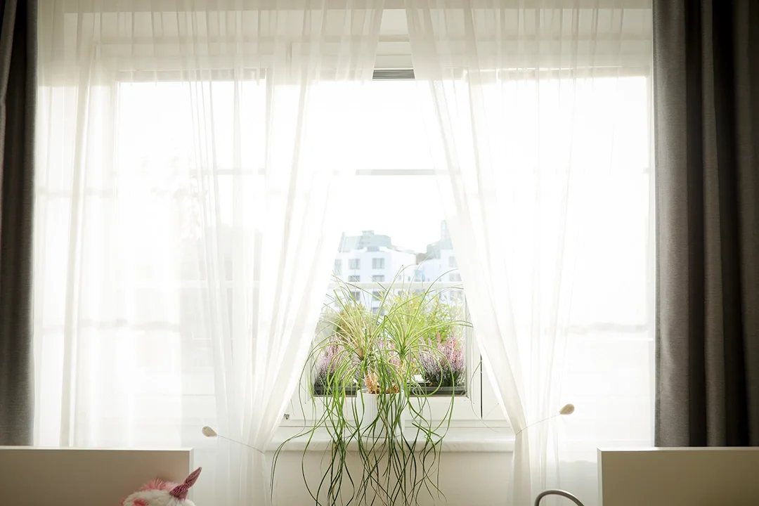 A window with white curtains, a potted plant on the windowsill, and buildings in the background.