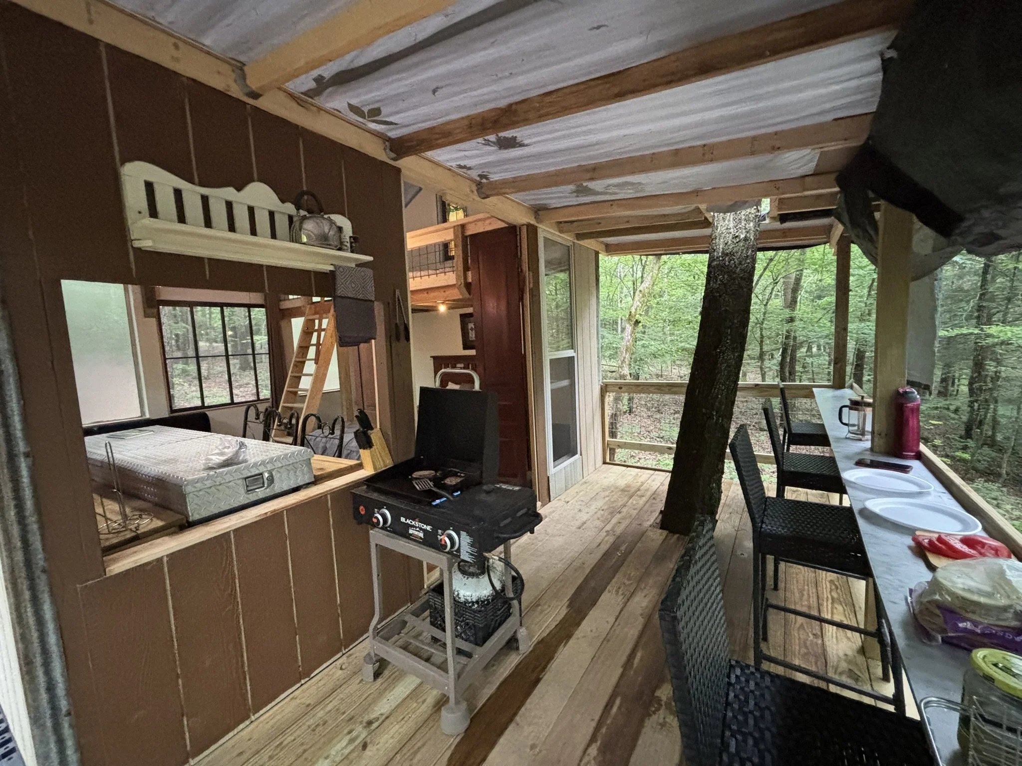Back Deck Bar and Blackstone Griddle