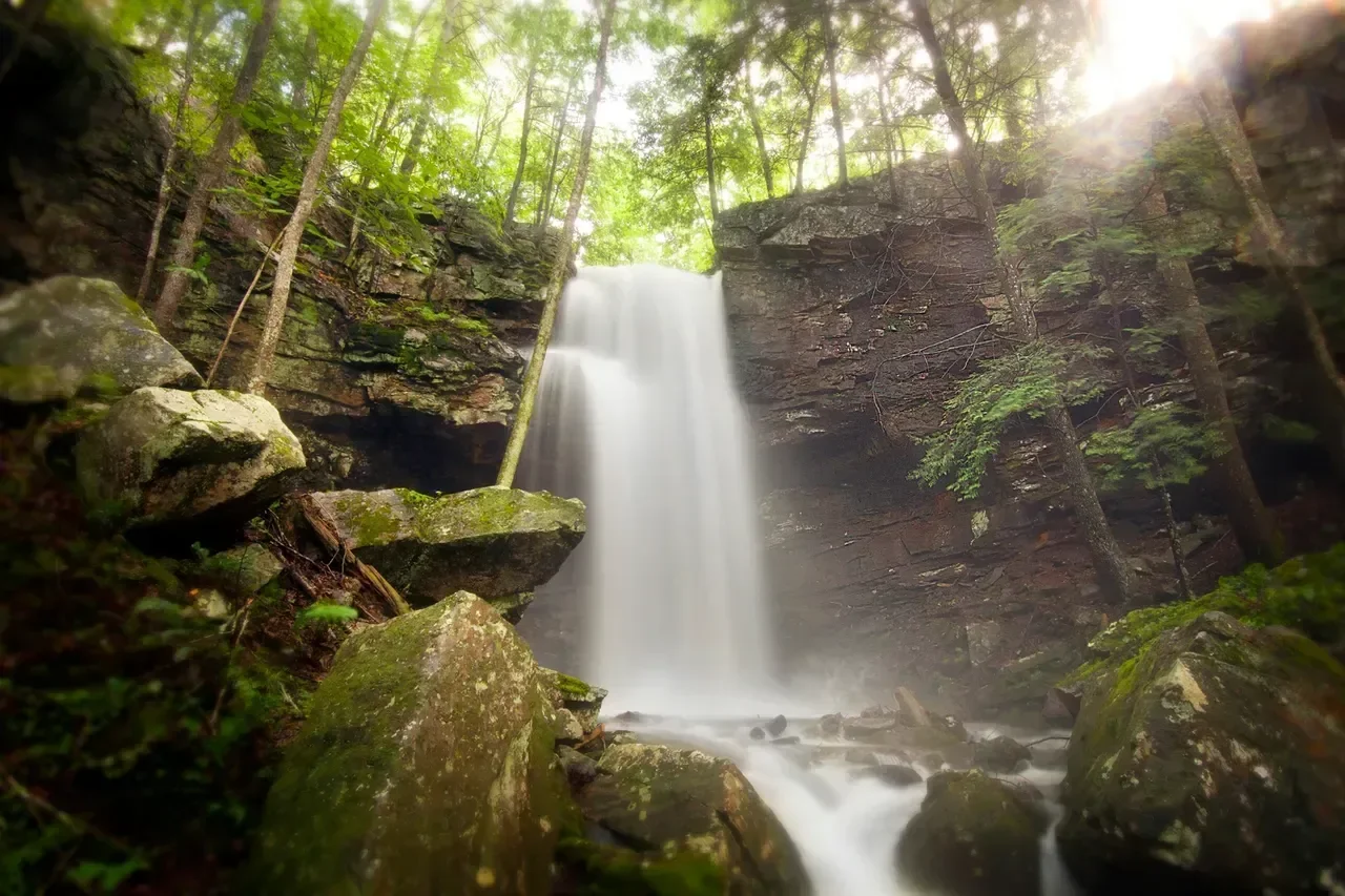 A peaceful waterfall flowing down a rocky cliff surrounded by trees in a lush forest.