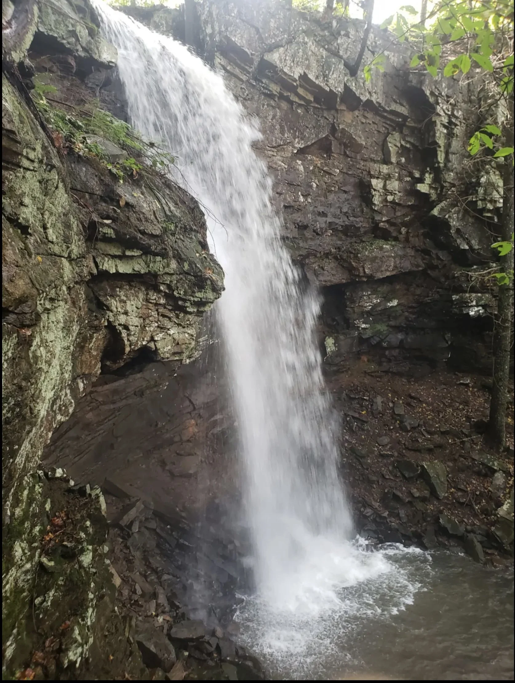 The Allure of Falling Water