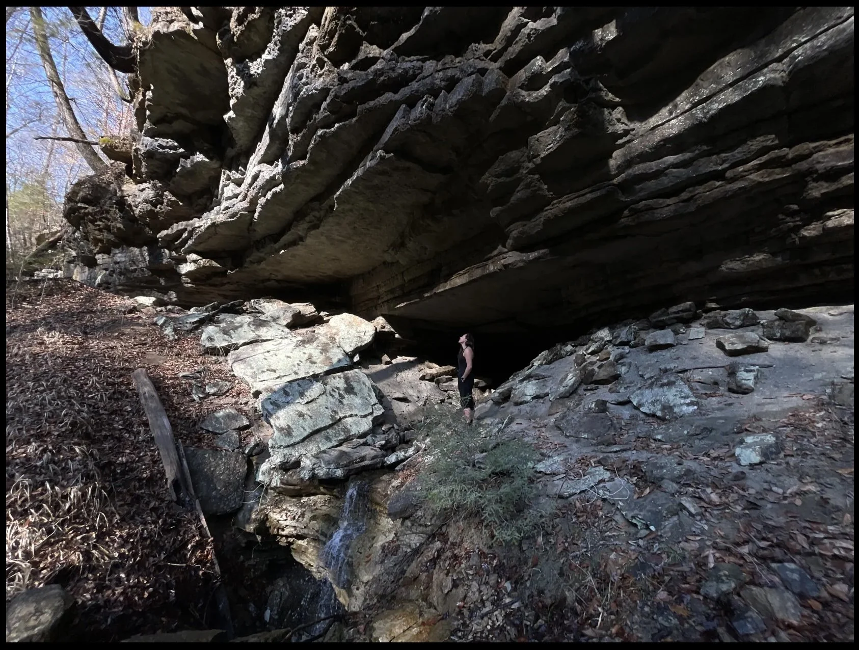 Nature isn’t Artificial