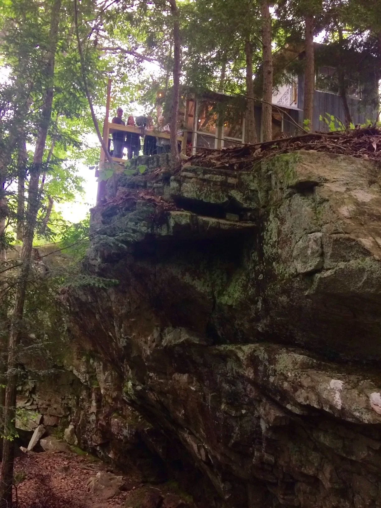 People standing on a wooden deck overlooking a rocky cliff in a forested area.