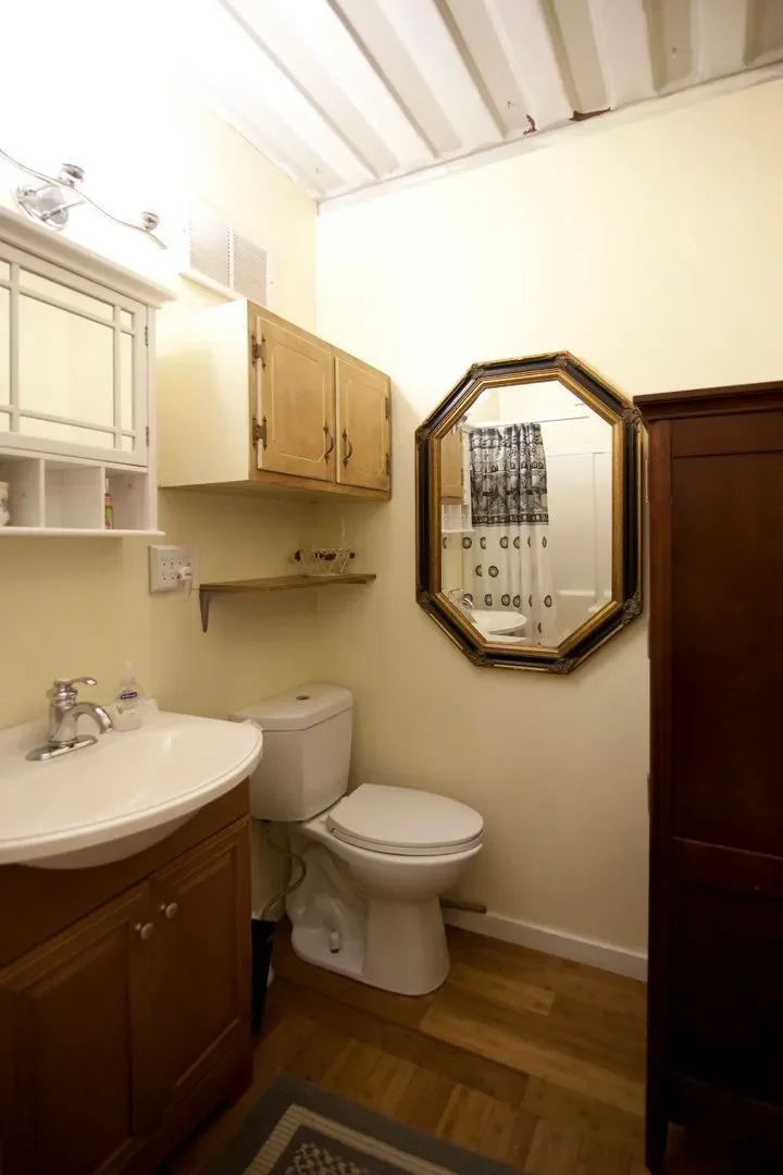 Small bathroom with a white toilet, wooden cabinets, a mirror, and a sink with a cabinet below. A decorative shower curtain is visible in the mirror's reflection.