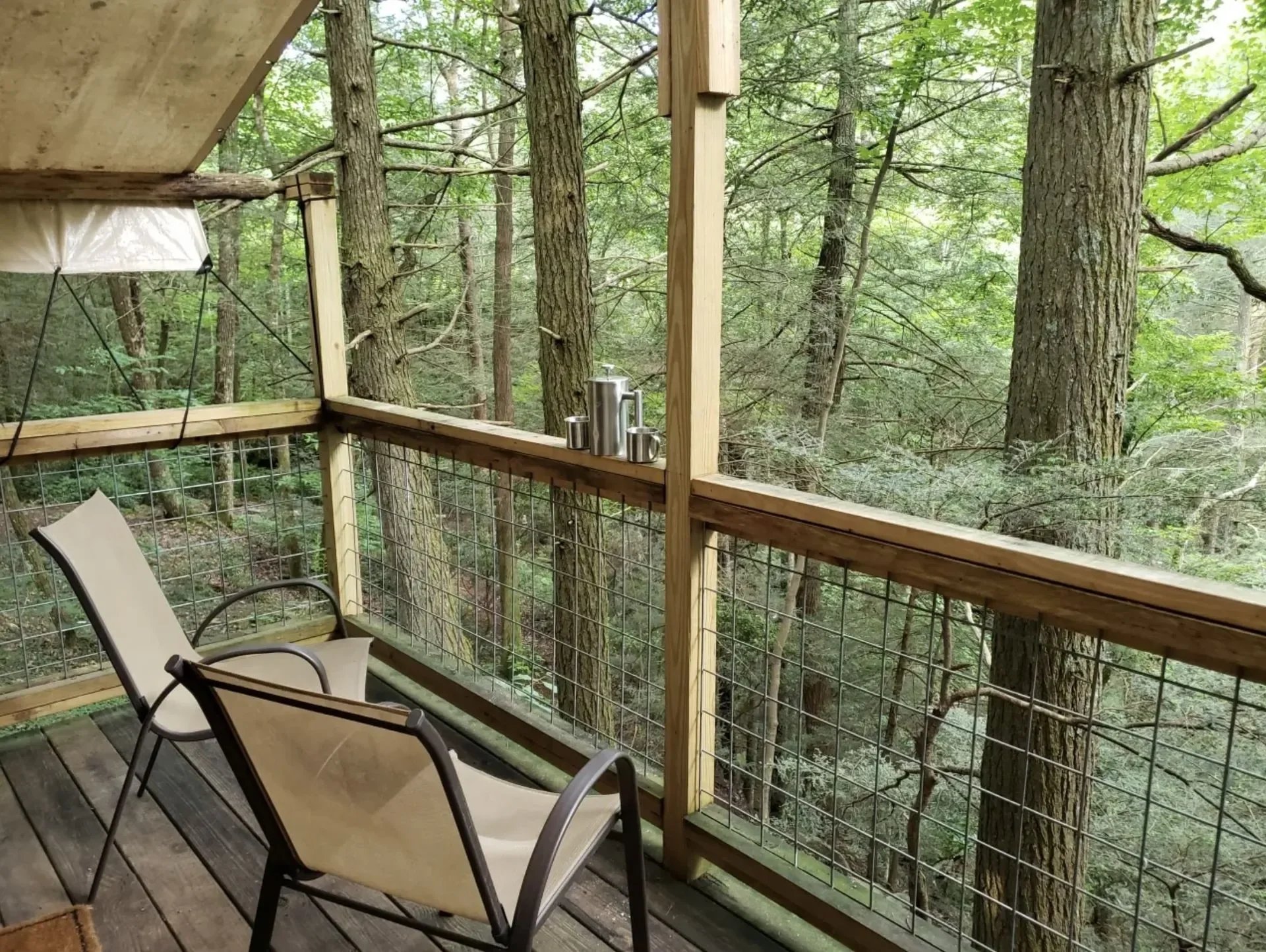 A wooden balcony with two beige chairs and a metal railing, overlooking a forest with tall trees and green foliage.