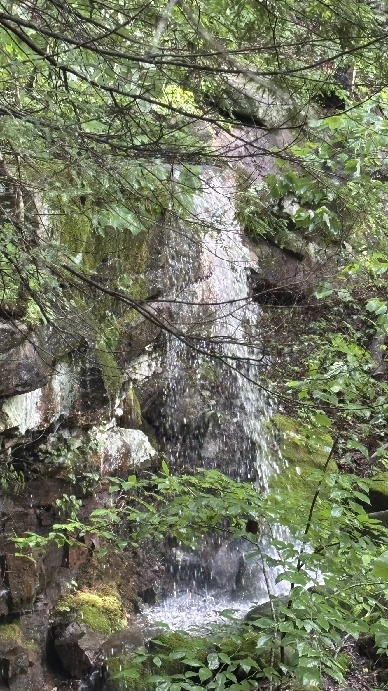 A tiny, 3rd seasonal waterfall over the bluff next to the Inner sanctum