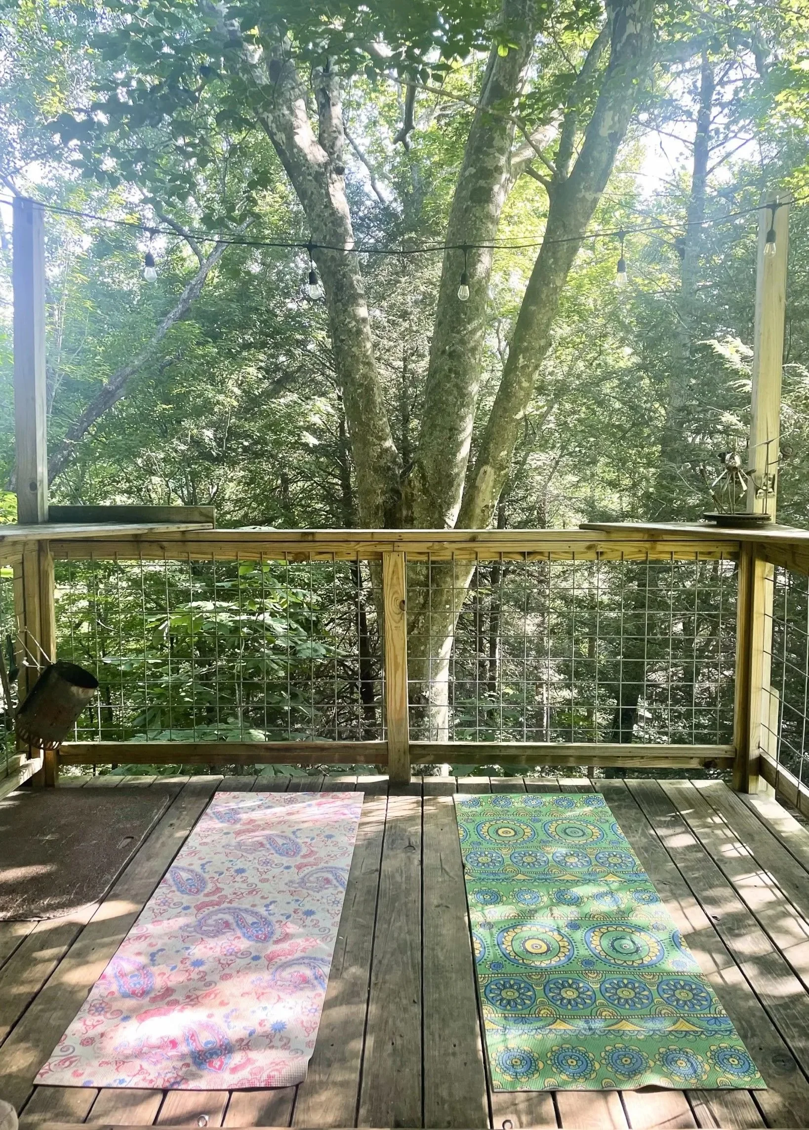 Two yoga mats on a wooden deck surrounded by trees, with string lights overhead and a wire fence at the edge of the deck.
