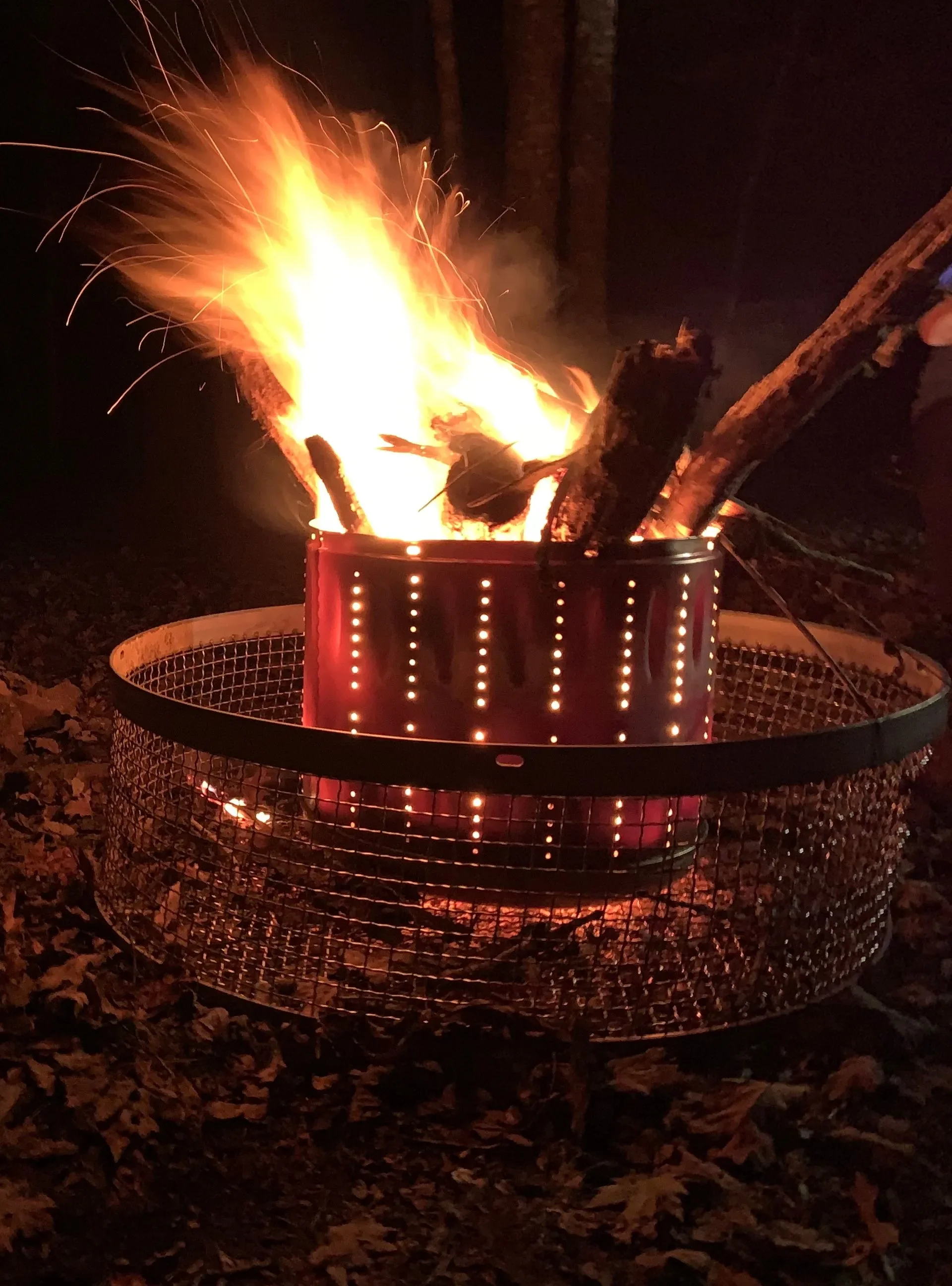 A campfire with logs burning inside a metal fire pit on a forest floor.