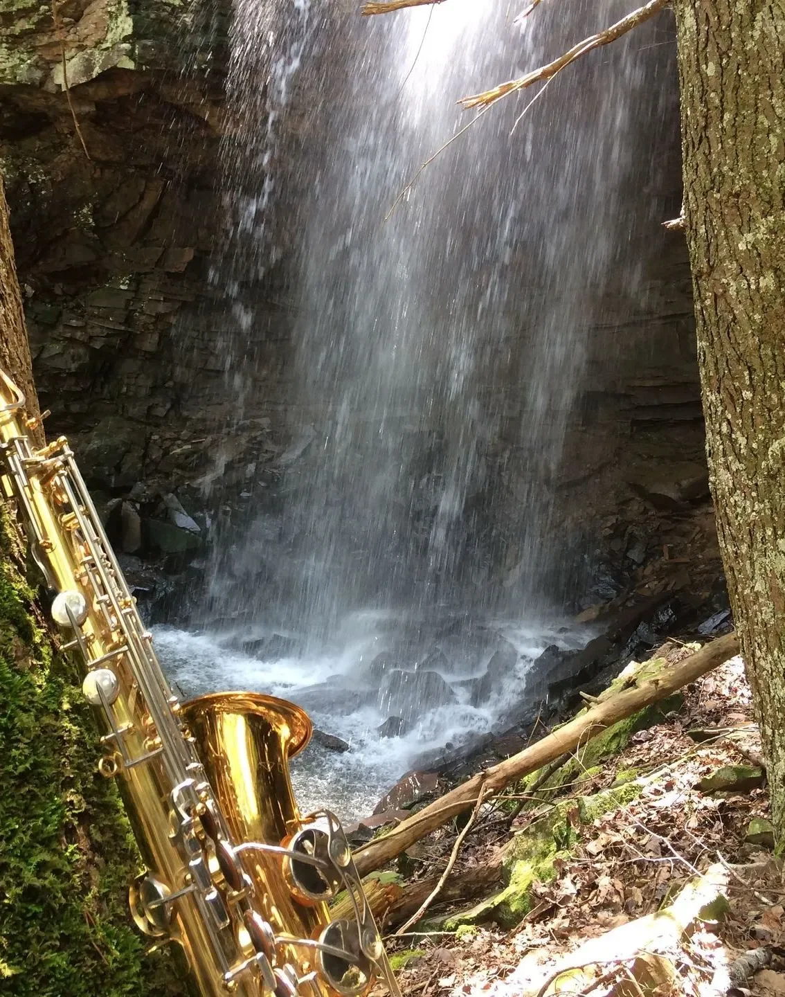 A golden saxophone resting on the ground near a waterfall in a forested area.