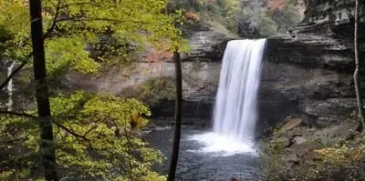 Waterfall flowing over rocky cliffs surrounded by trees in a forest