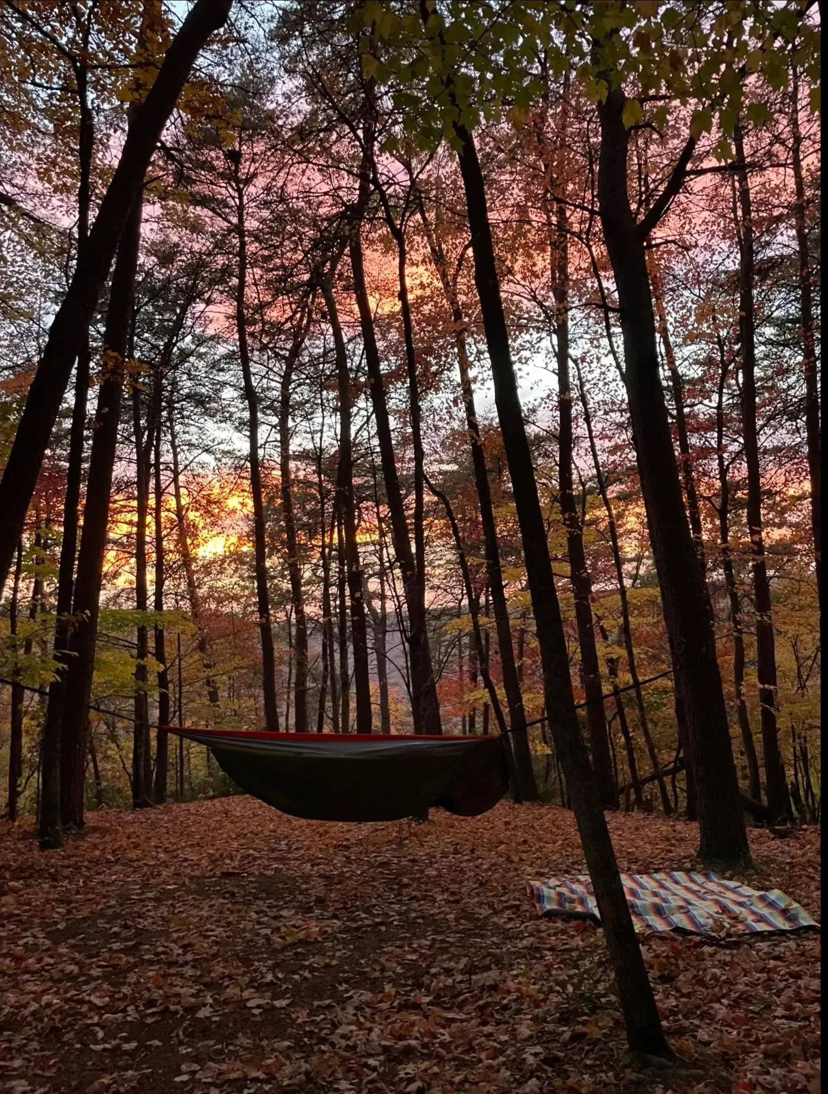 Hammock suspended between trees in a forest during sunset, with autumn leaves on the ground and a colorful striped blanket on the forest floor.