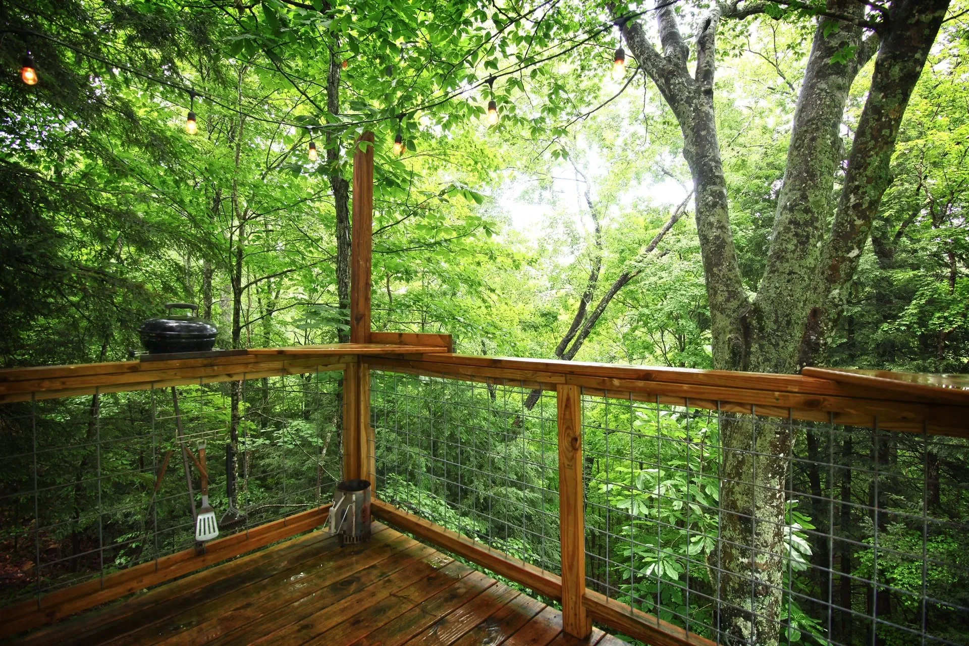 Wooden balcony with wire railing overlooking a lush green forest with trees and leaves, string lights hanging above, and a black cooking pot on the railing.